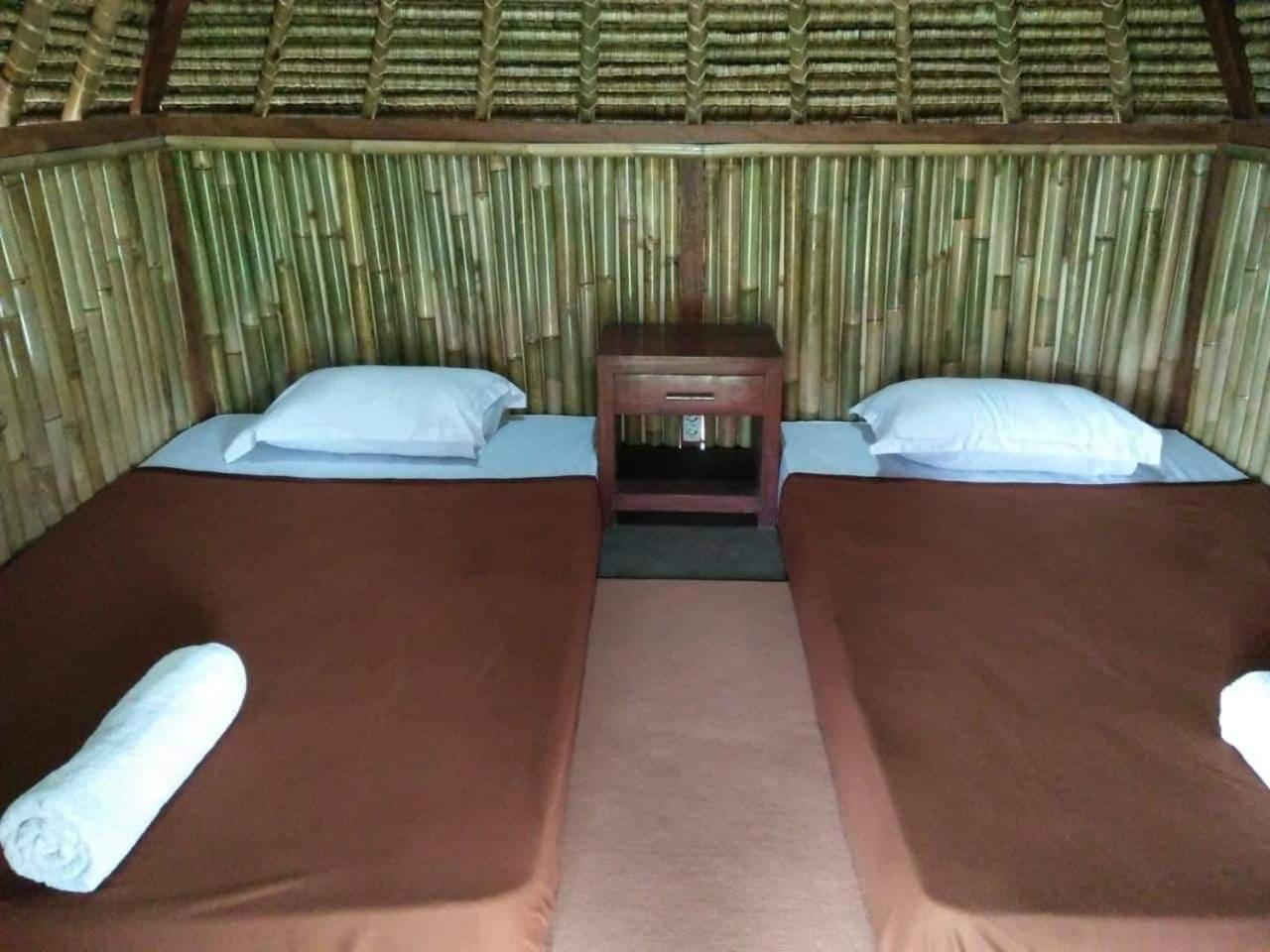 Twin Room With Shared Toilet photo 1