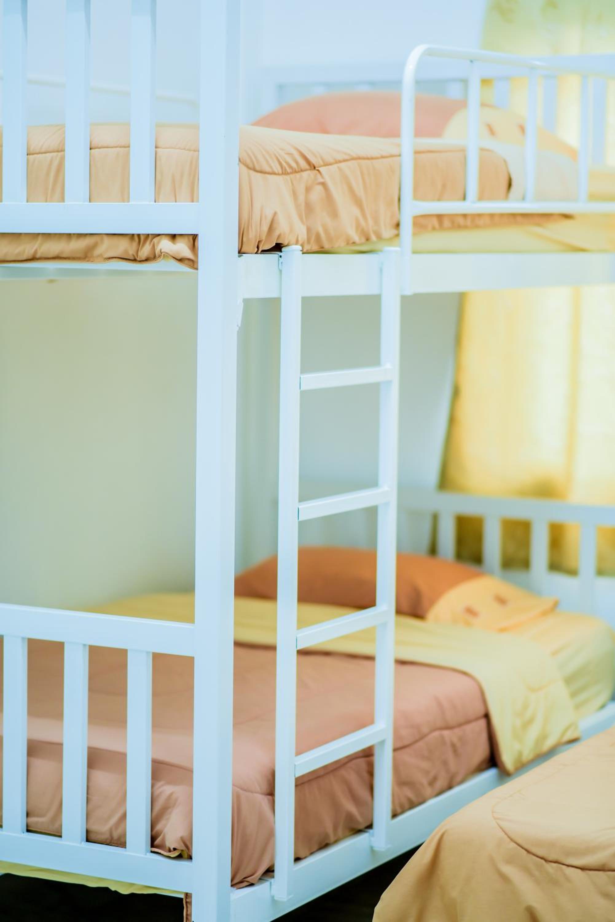 Bunk Bed in Male Dormitory Room  photo 1