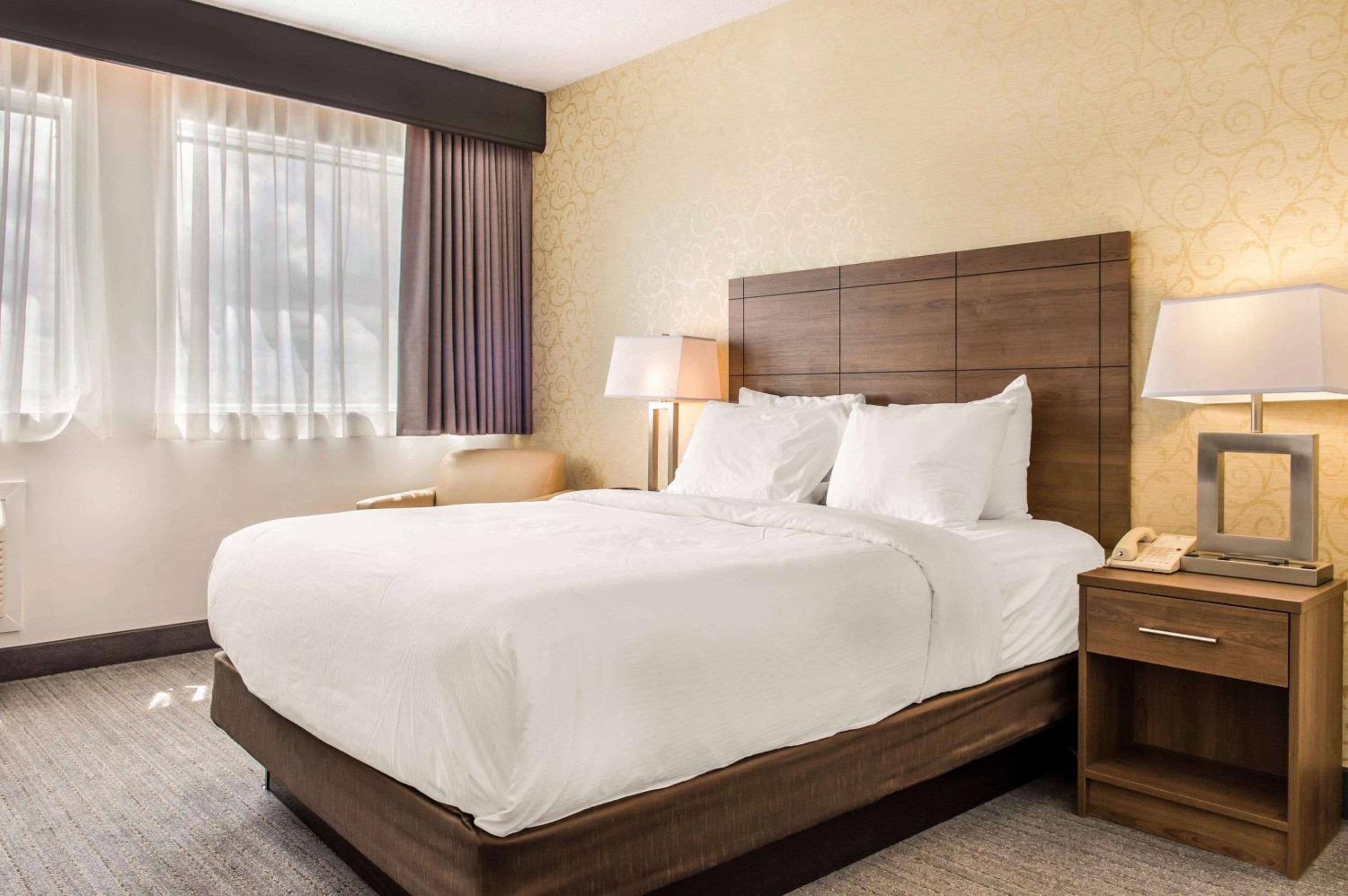 Queen Room - Photo 4
