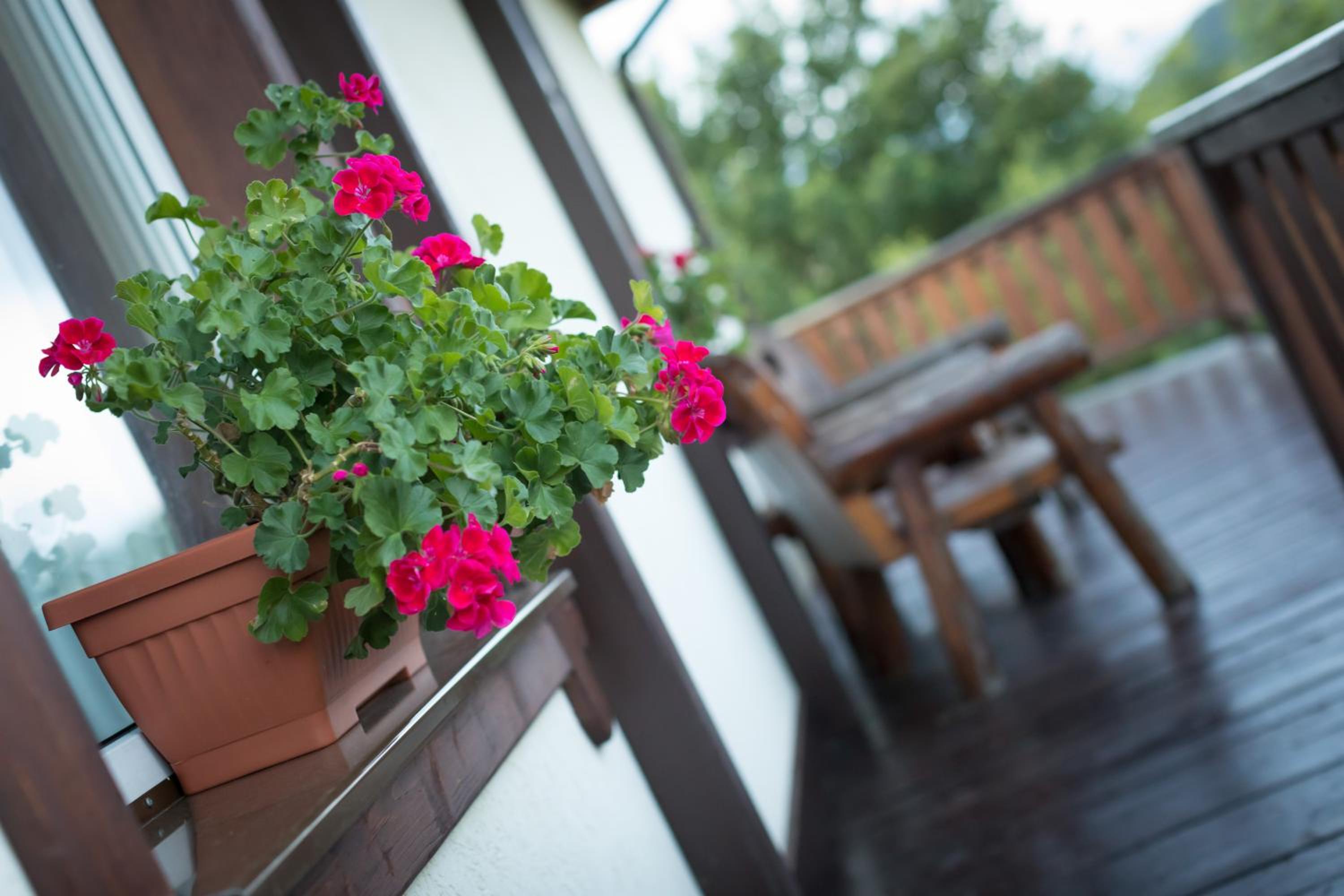 Villa - Photo 9