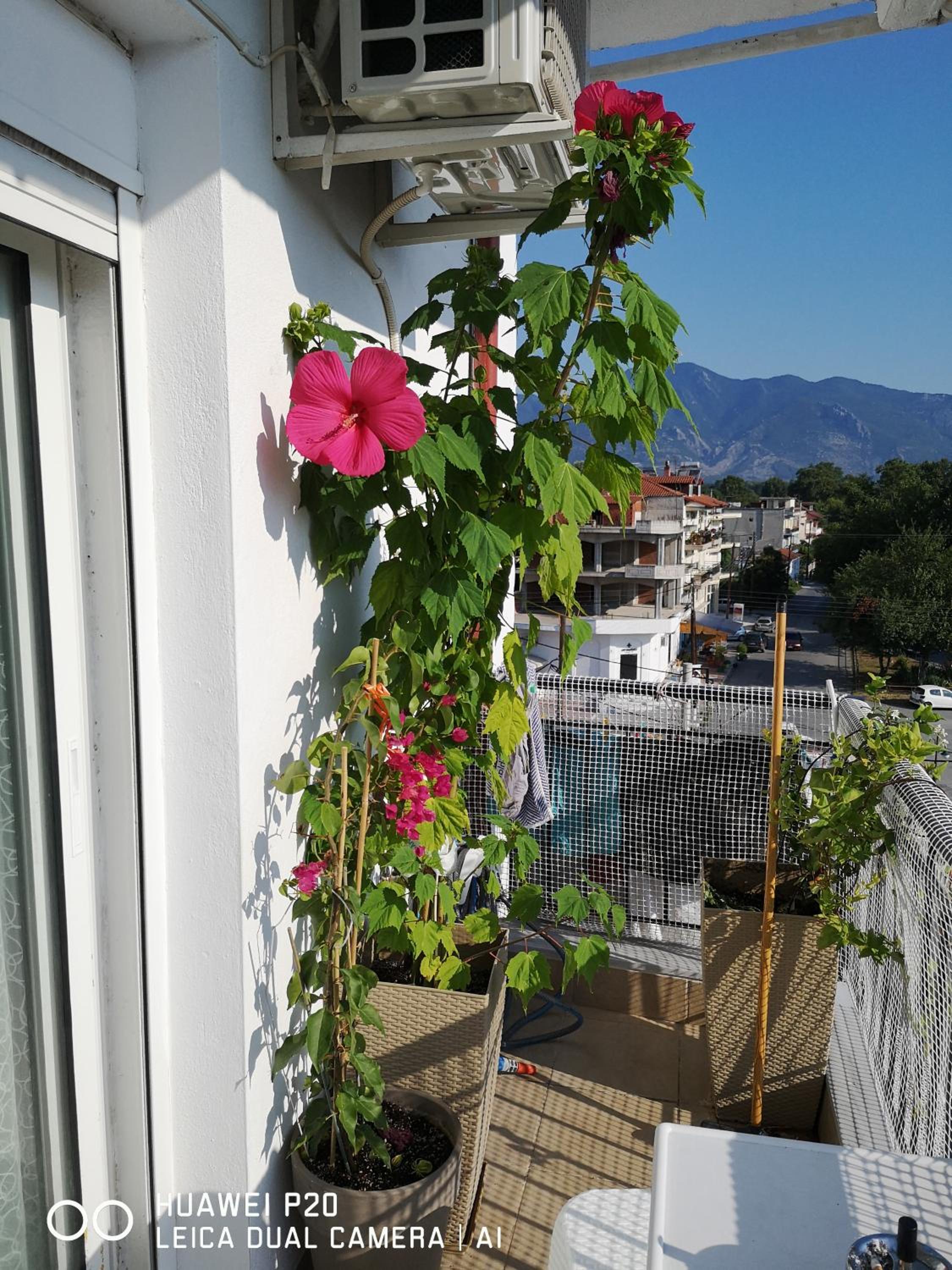 Apartment - Photo 7