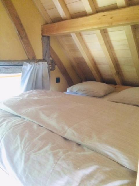One-Bedroom House photo 1