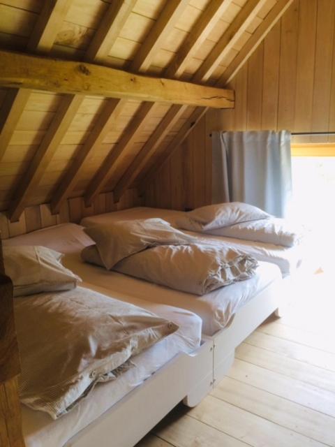 One-Bedroom House photo 2