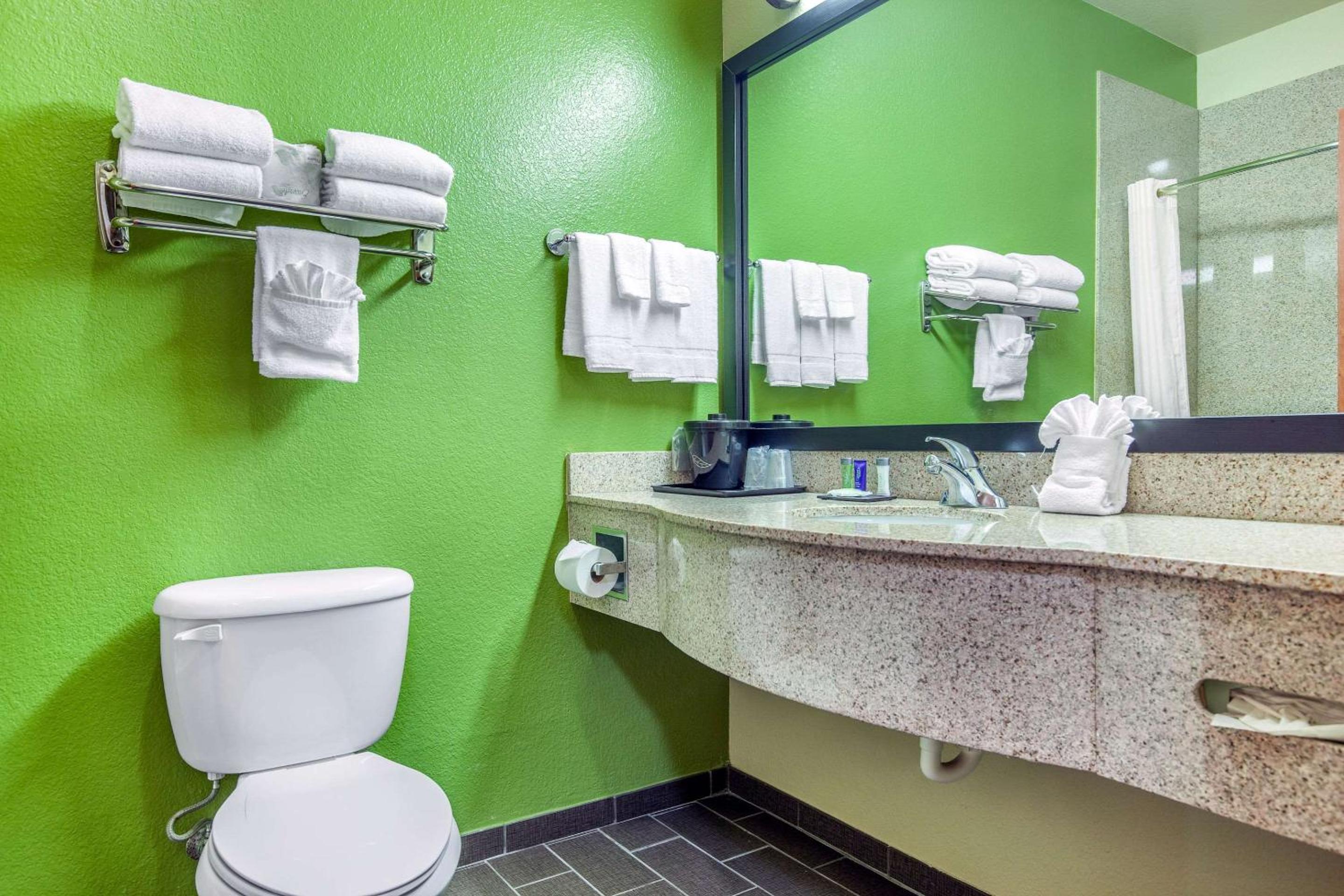 King Suite - Photo 6