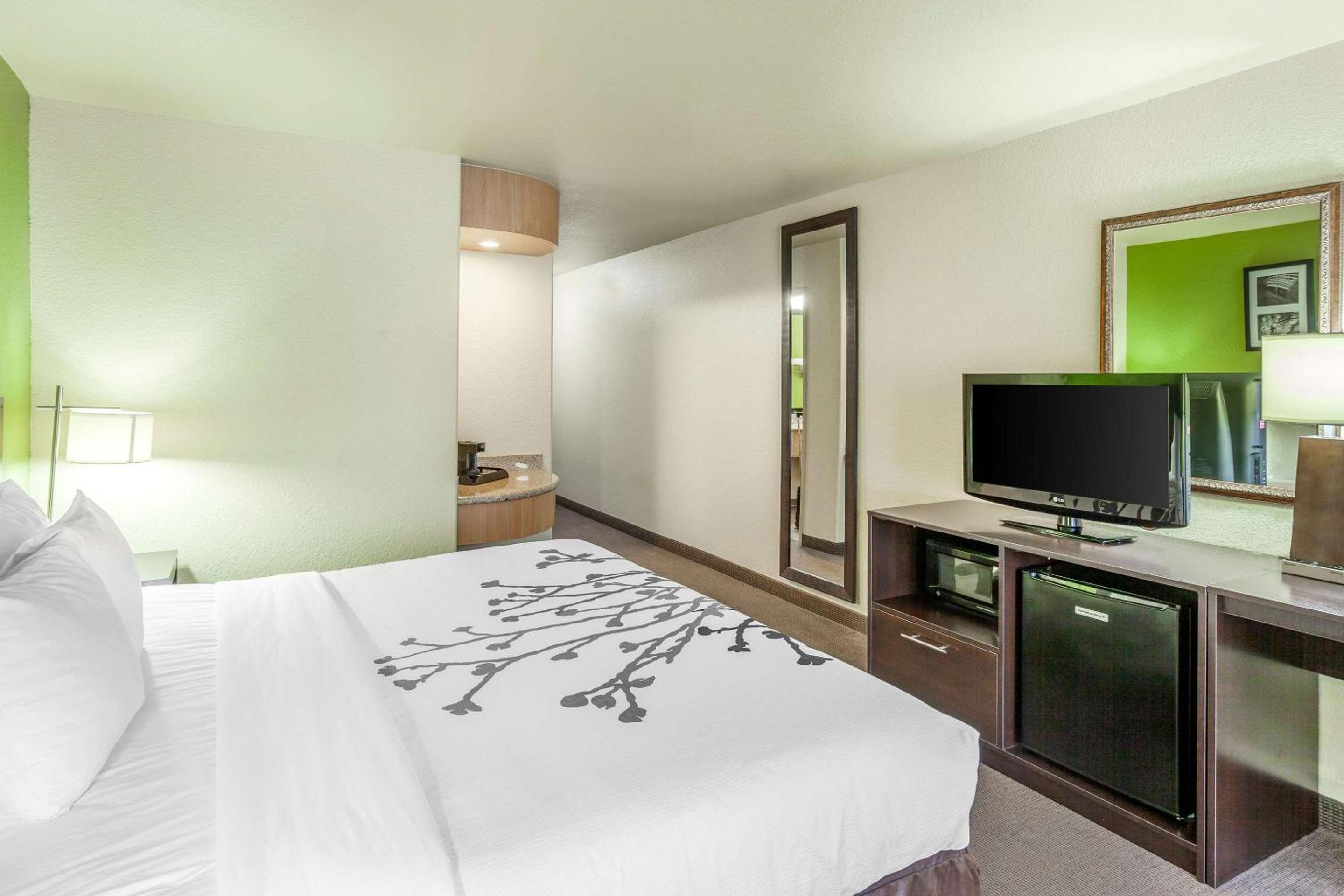 King Room - Non-Smoking - Photo 1