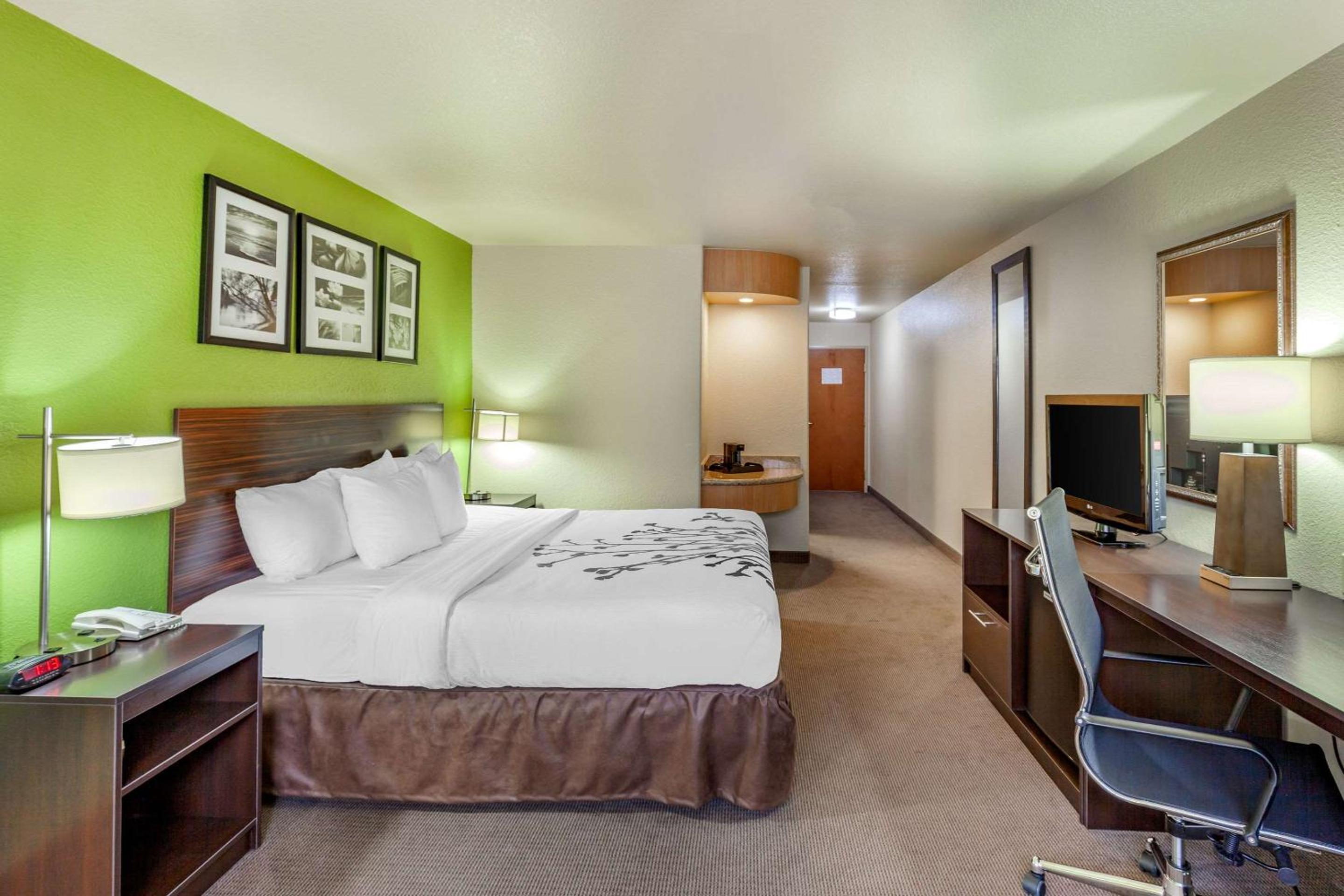 King Room - Non-Smoking - Photo 3
