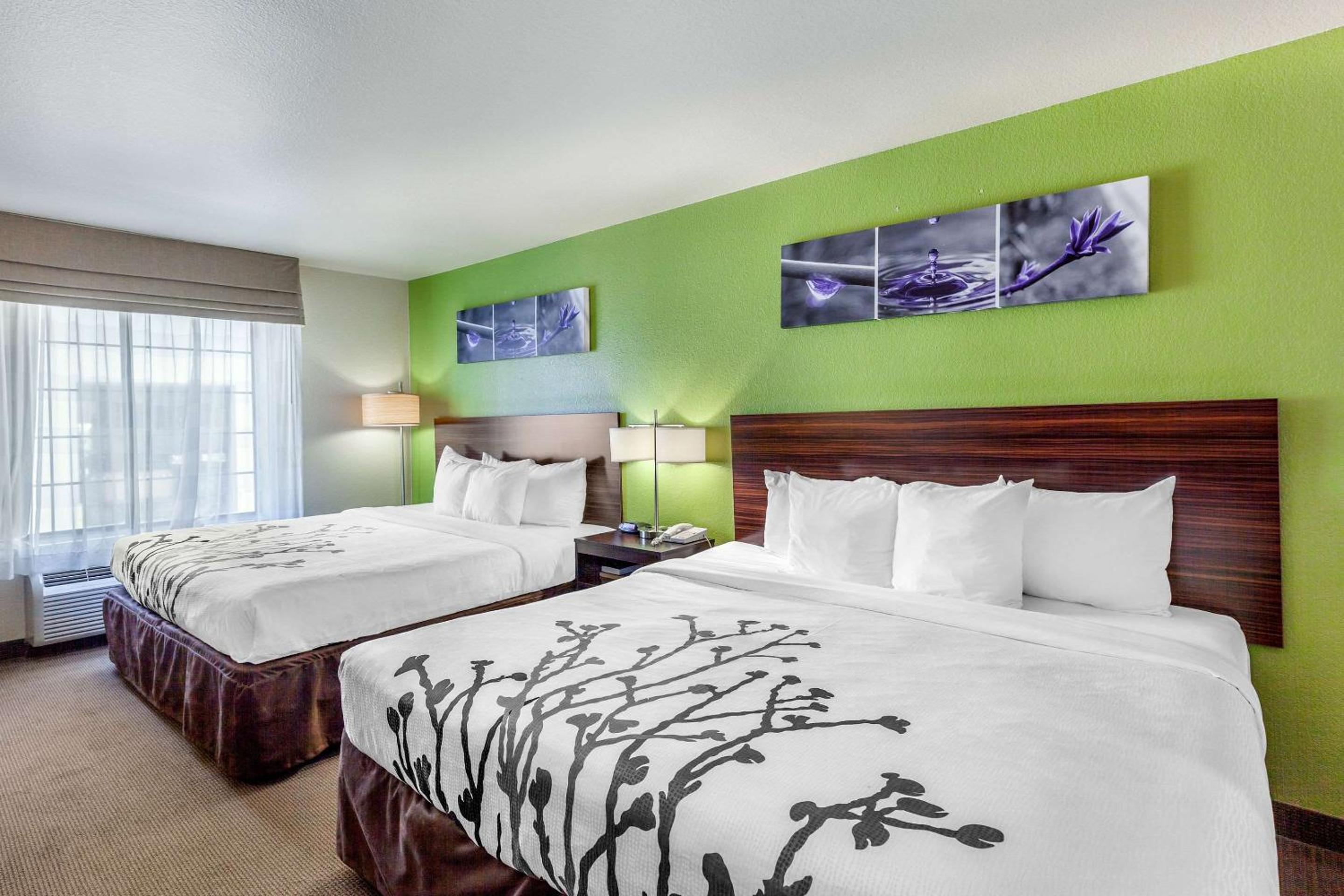 Standard Room with Two King Beds - Photo 3
