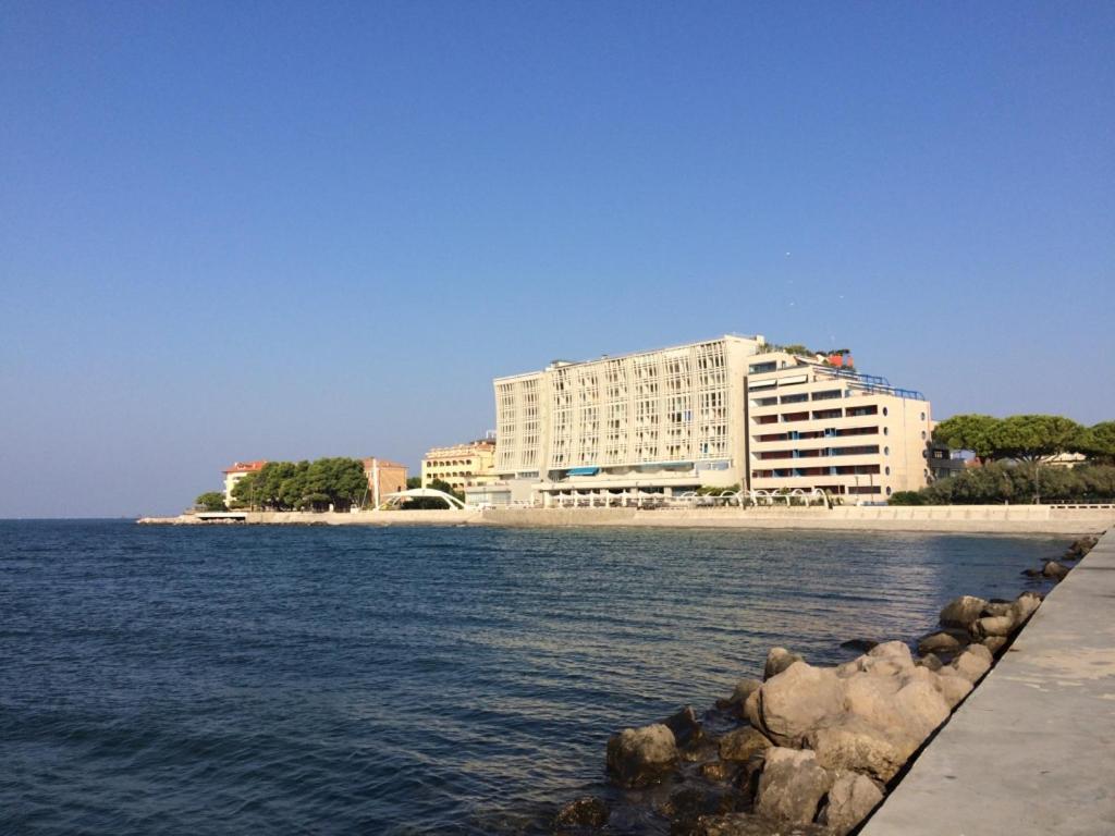 Apartment with Terrace photo 3