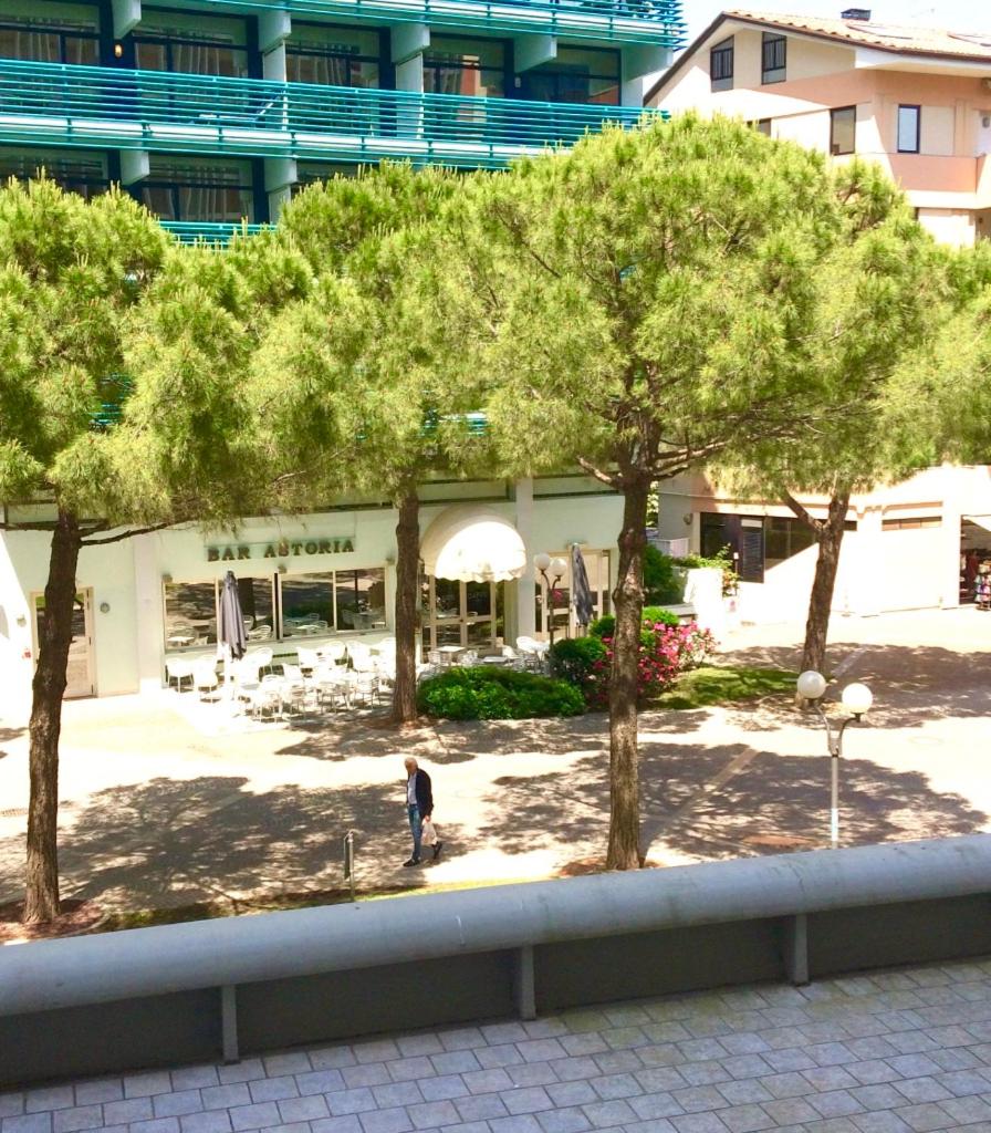 Apartment with Terrace photo 1
