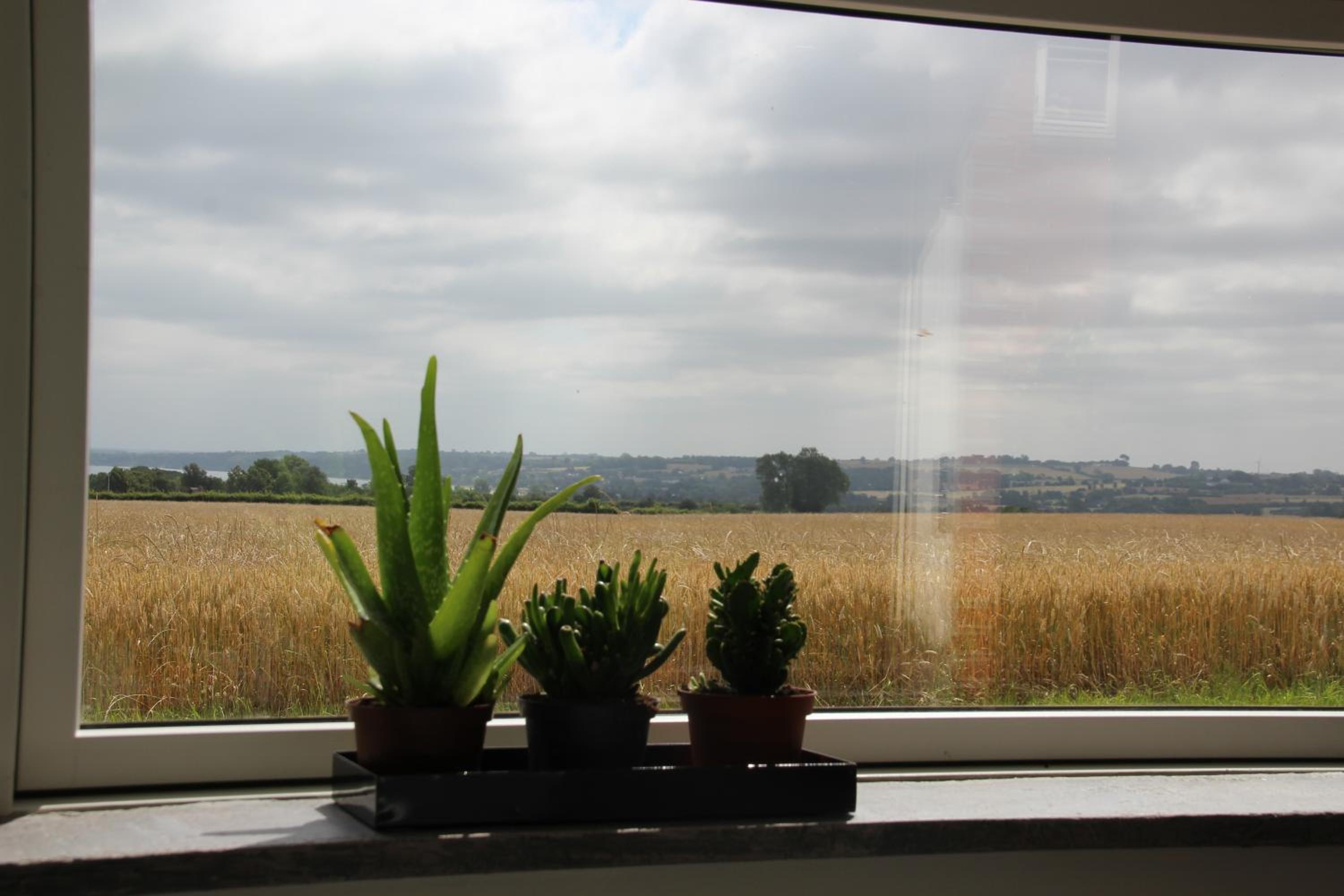 Studio Apartment with Sea View photo 3