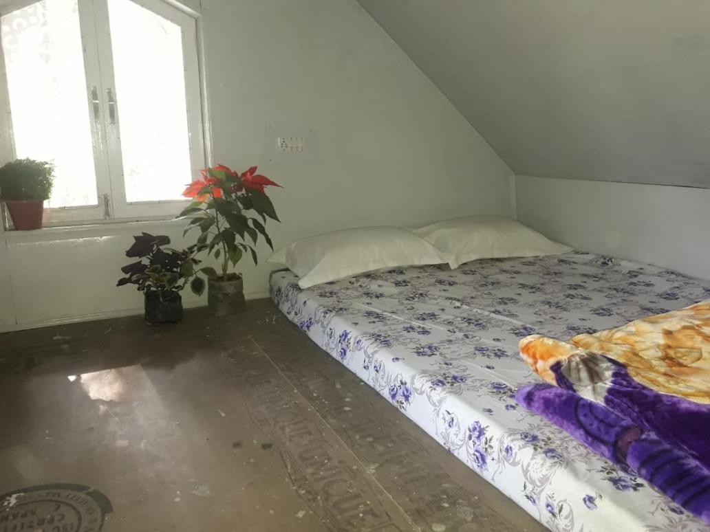 Quadruple Room photo 3