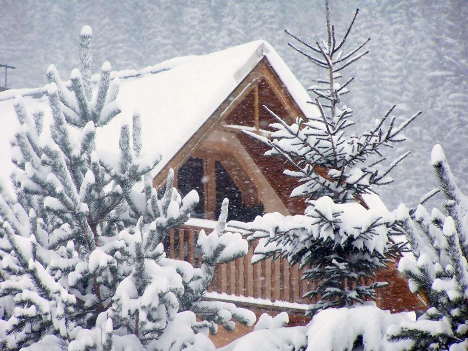 Vacation Home - Photo 1