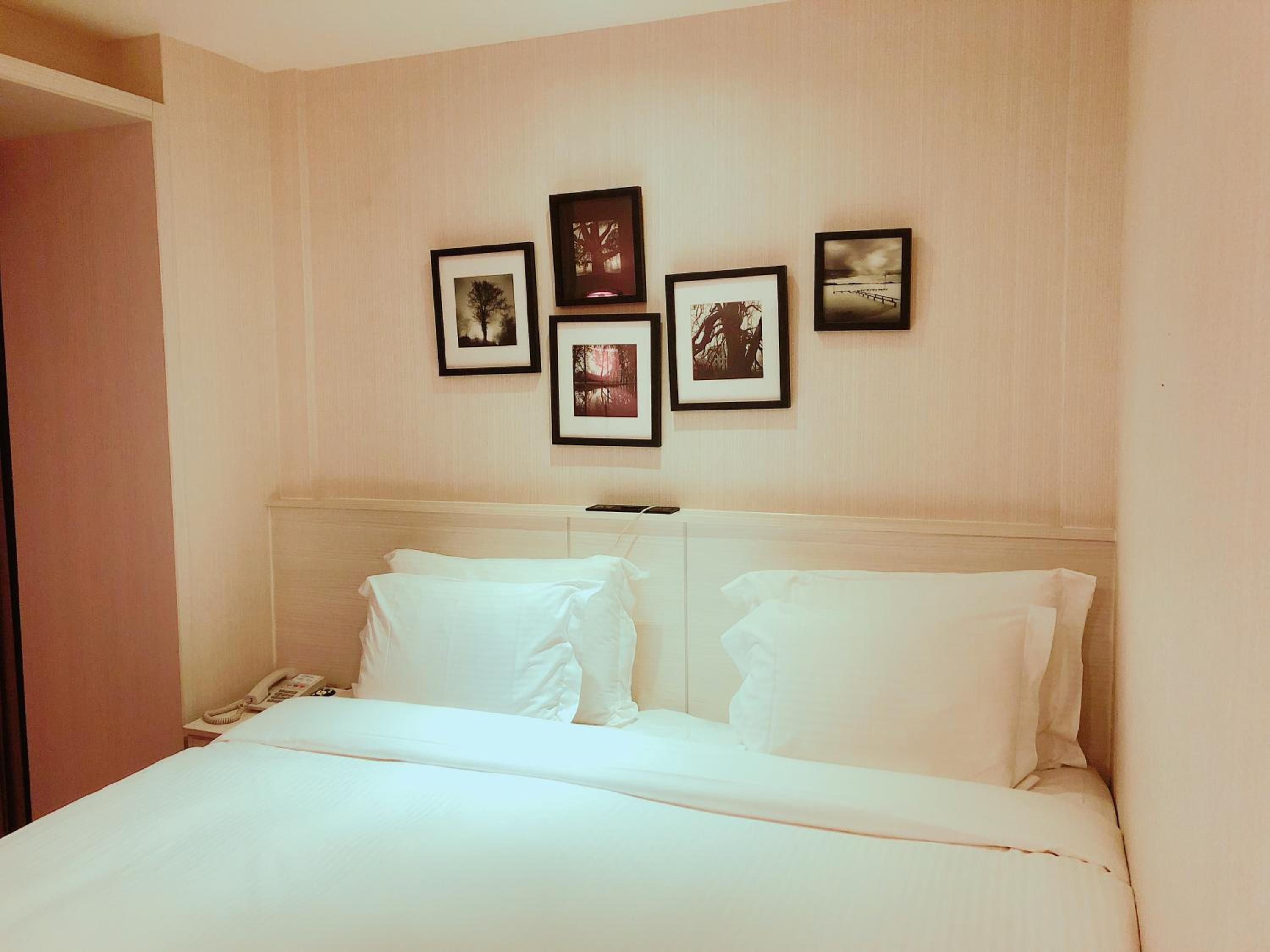 Exquisite Double Room photo 2