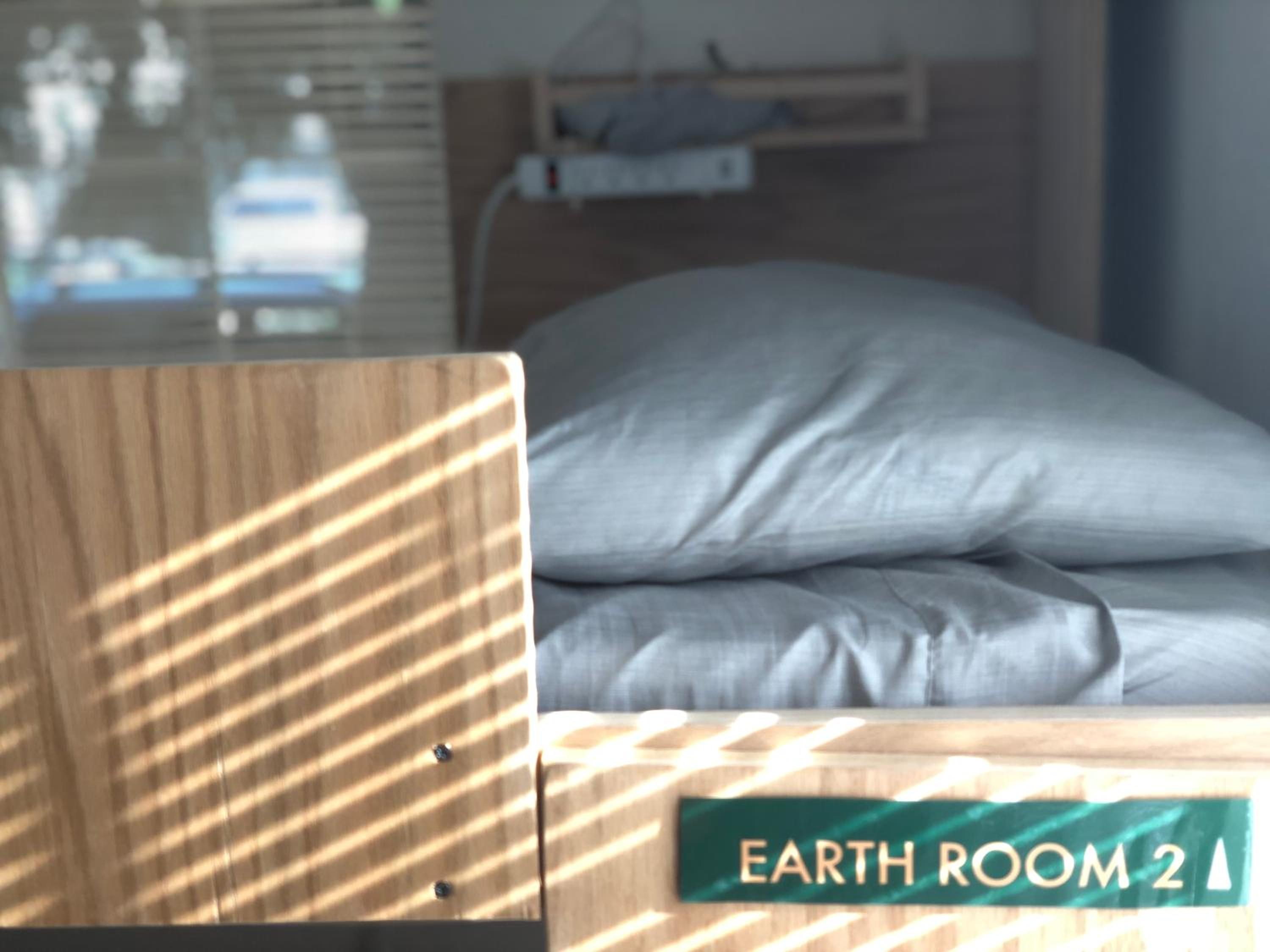 Bunk Bed In Mixed Dormitory Room photo 1