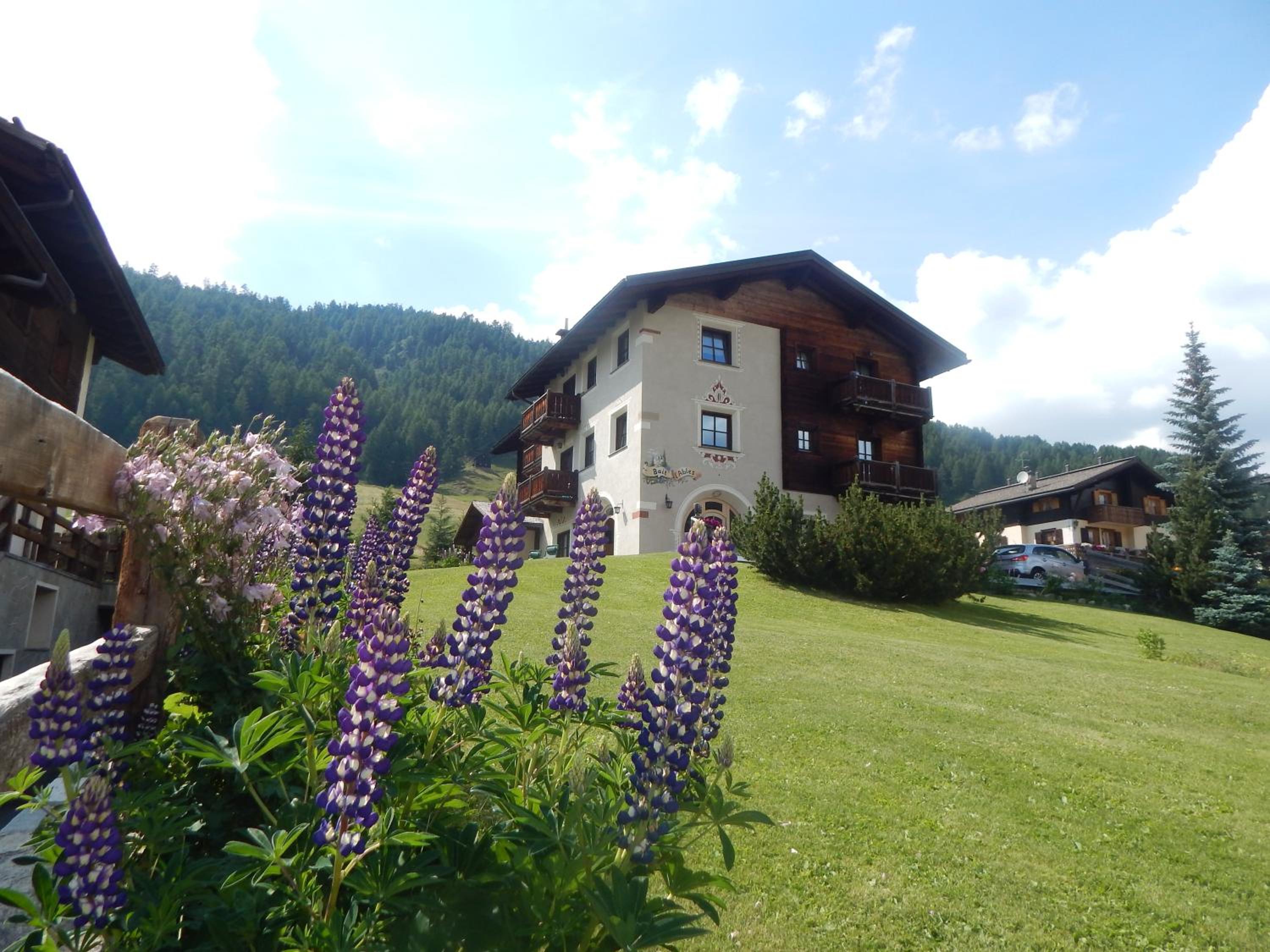 Apartment with Garden View - Photo 10