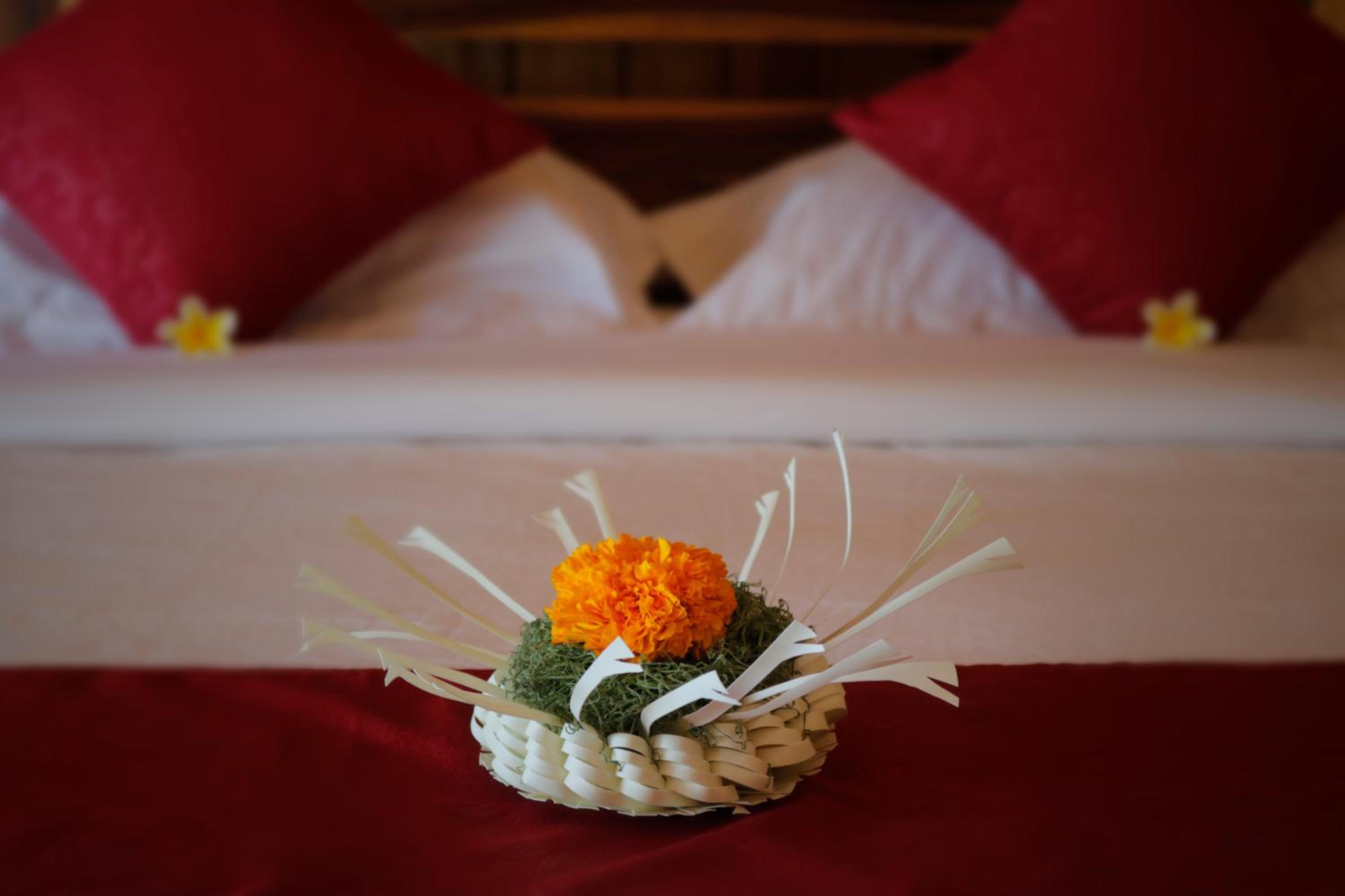 Deluxe Double or Twin Room - Photo 11