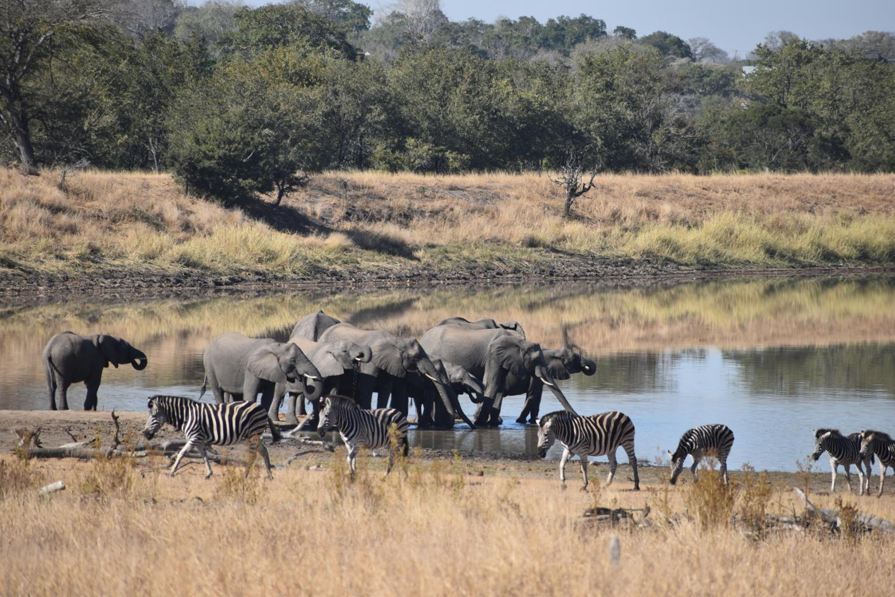 Deluxe Tent with Game Drive - Photo 12
