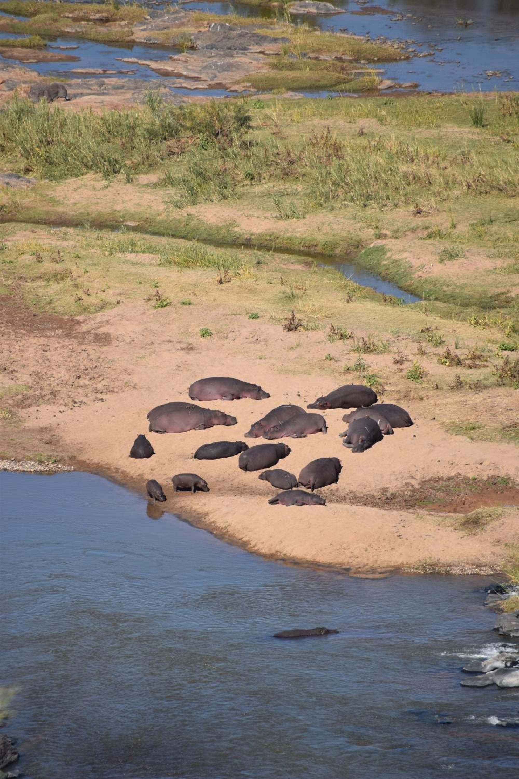 Deluxe Tent with Game Drive - Photo 11