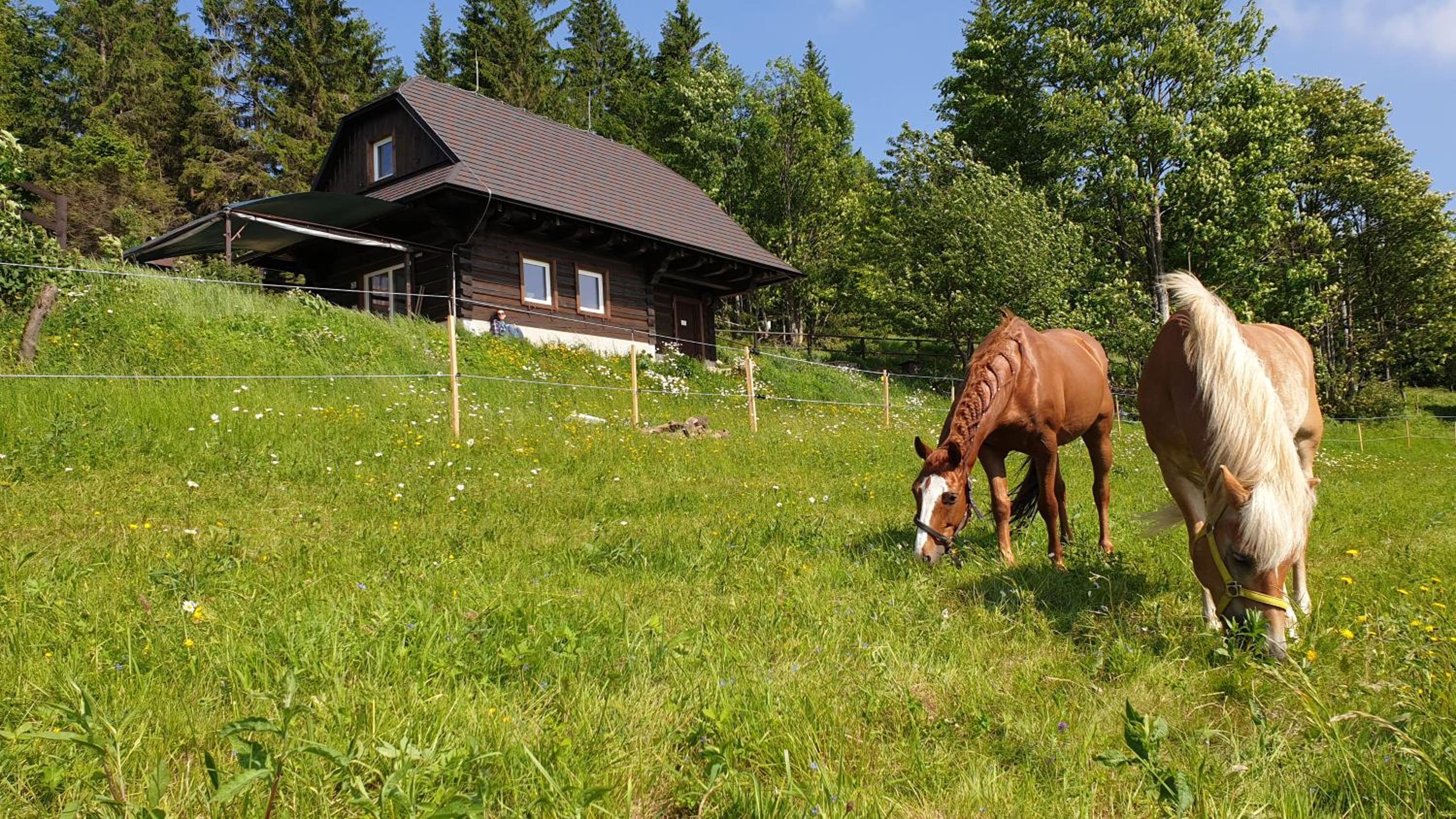 Chalet - Photo 23