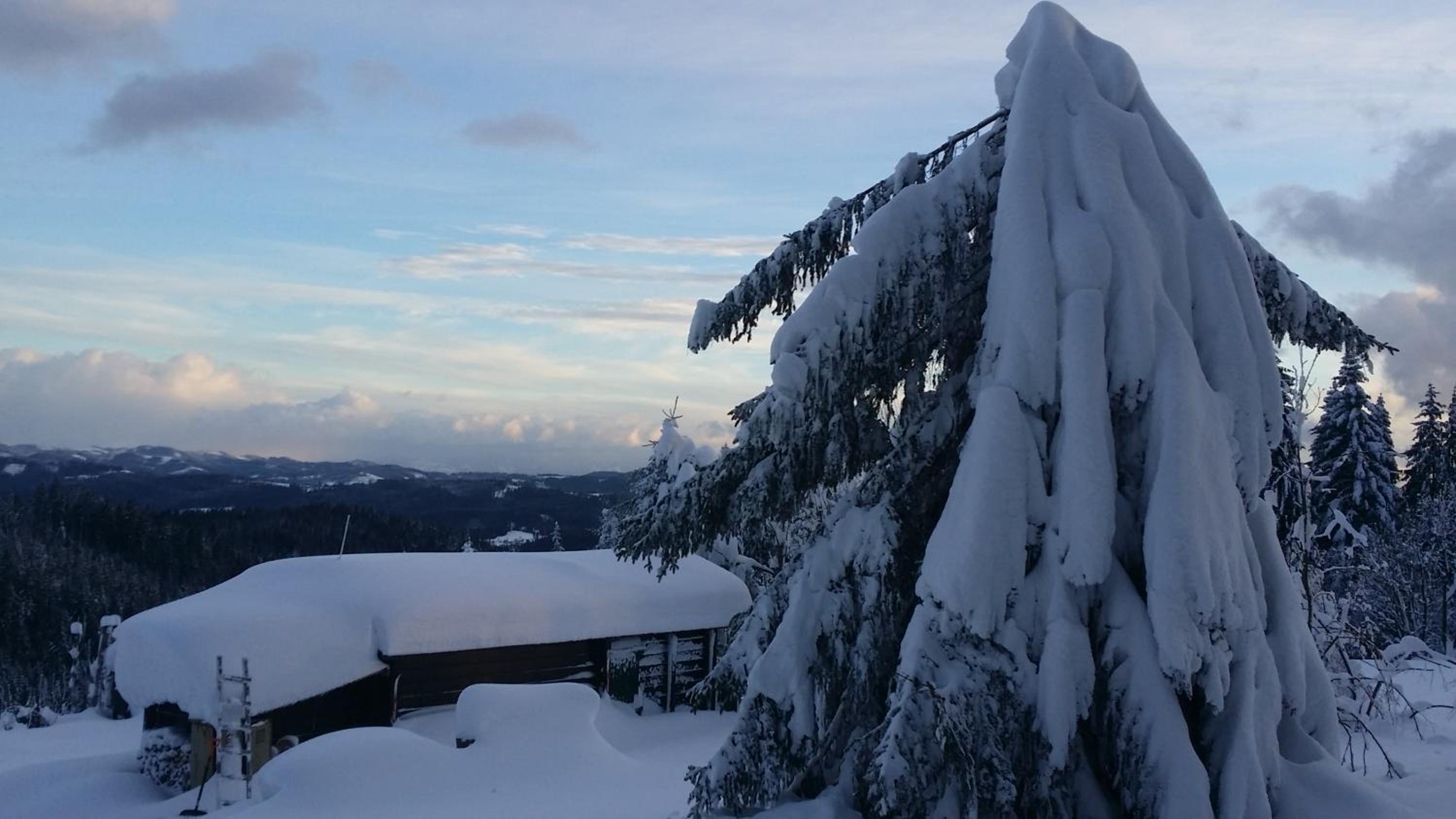 Chalet - Photo 14