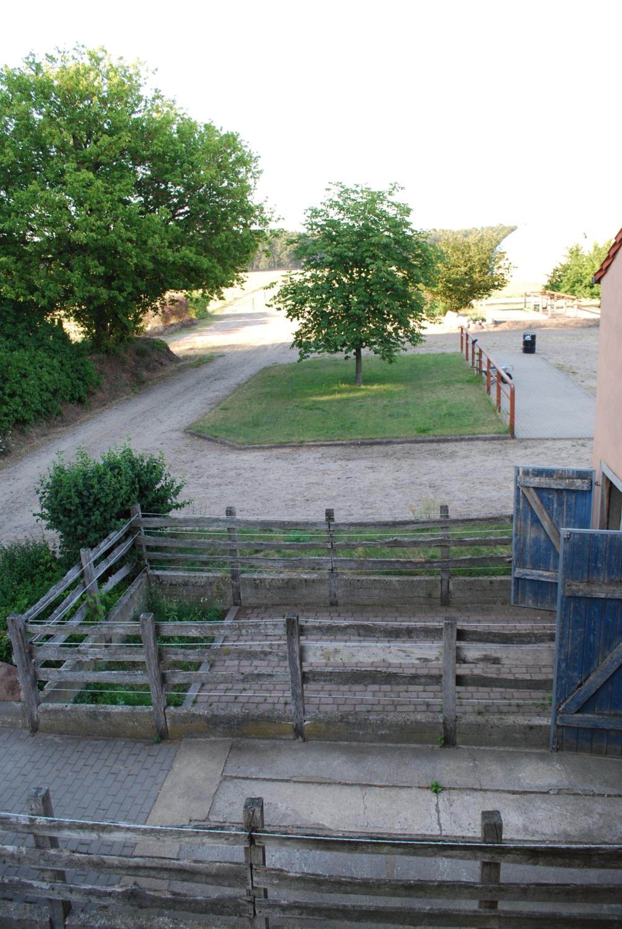 Apartment with Garden View - Photo 9