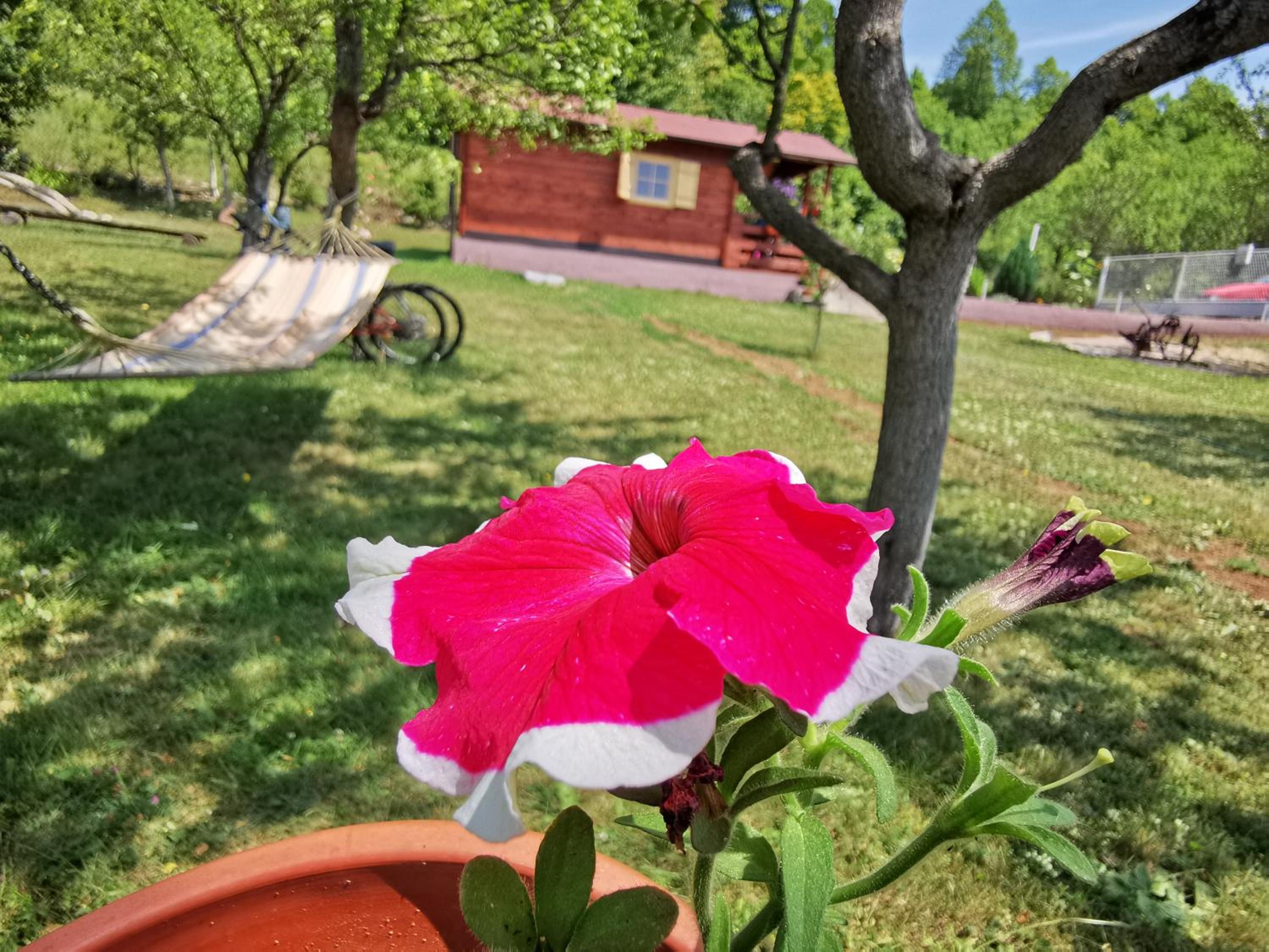 Vacation Home - Photo 36