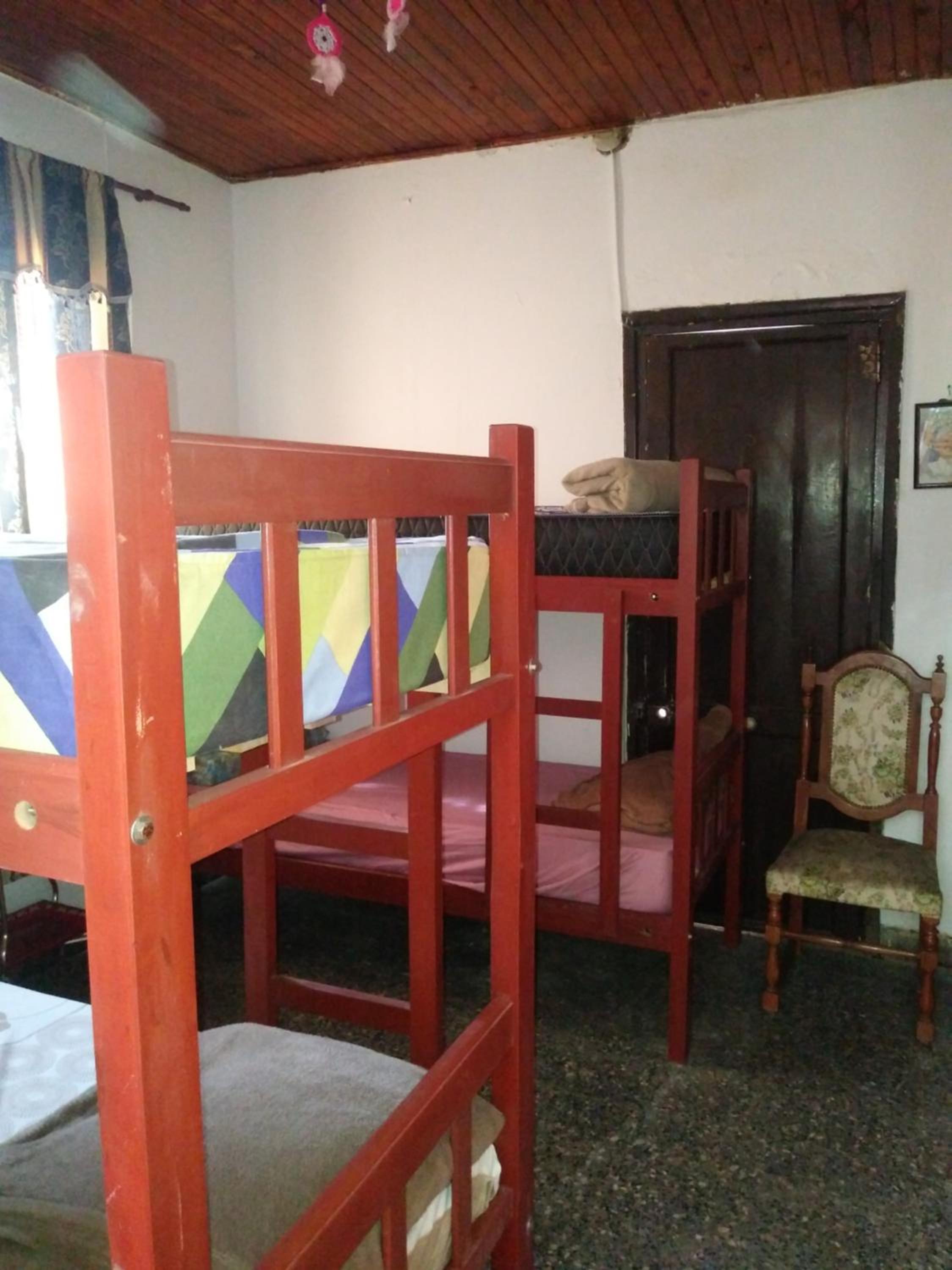 Bunk Bed In Mixed Dormitory Room photo 1
