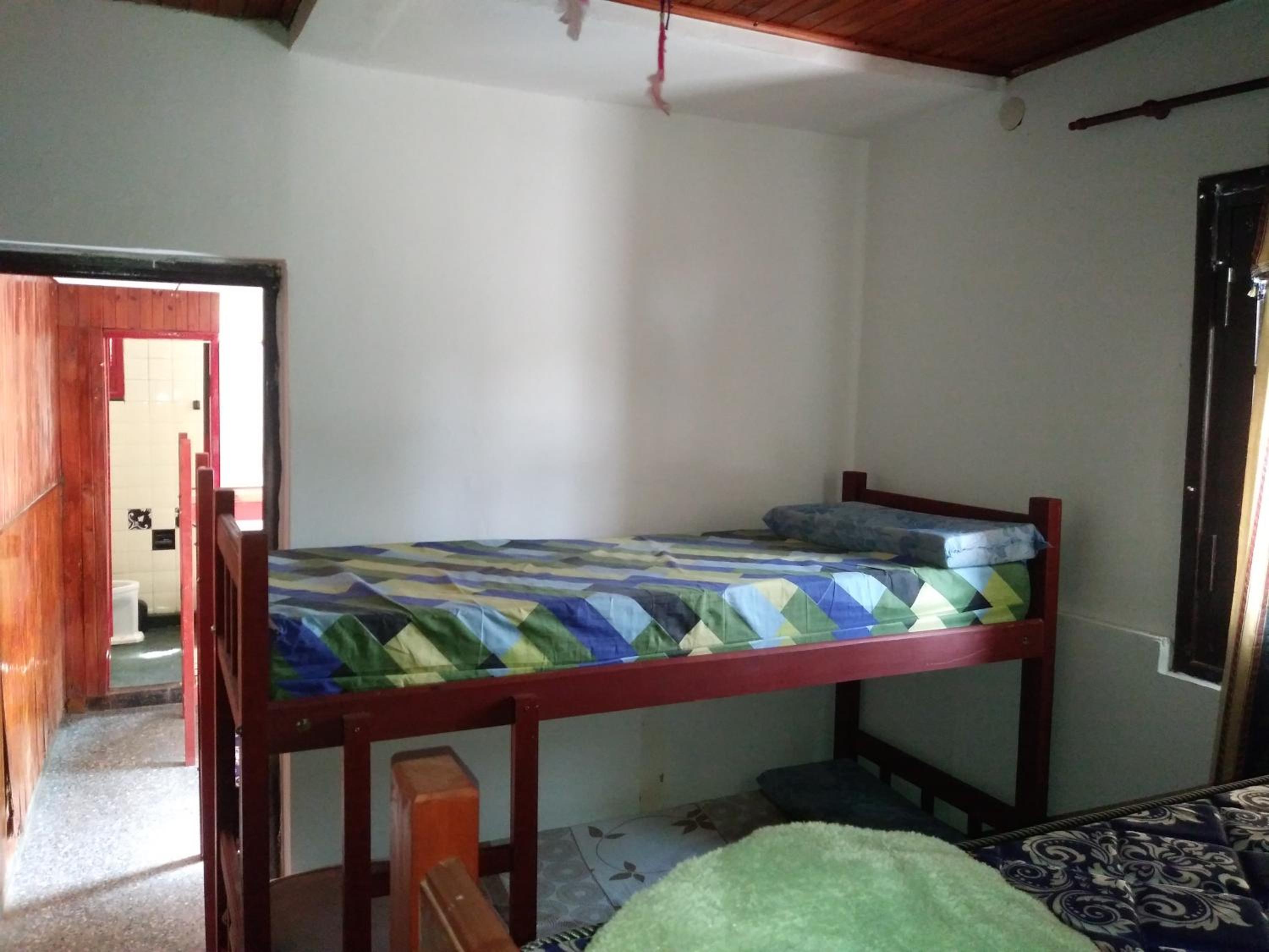 Bunk Bed In Mixed Dormitory Room photo 3
