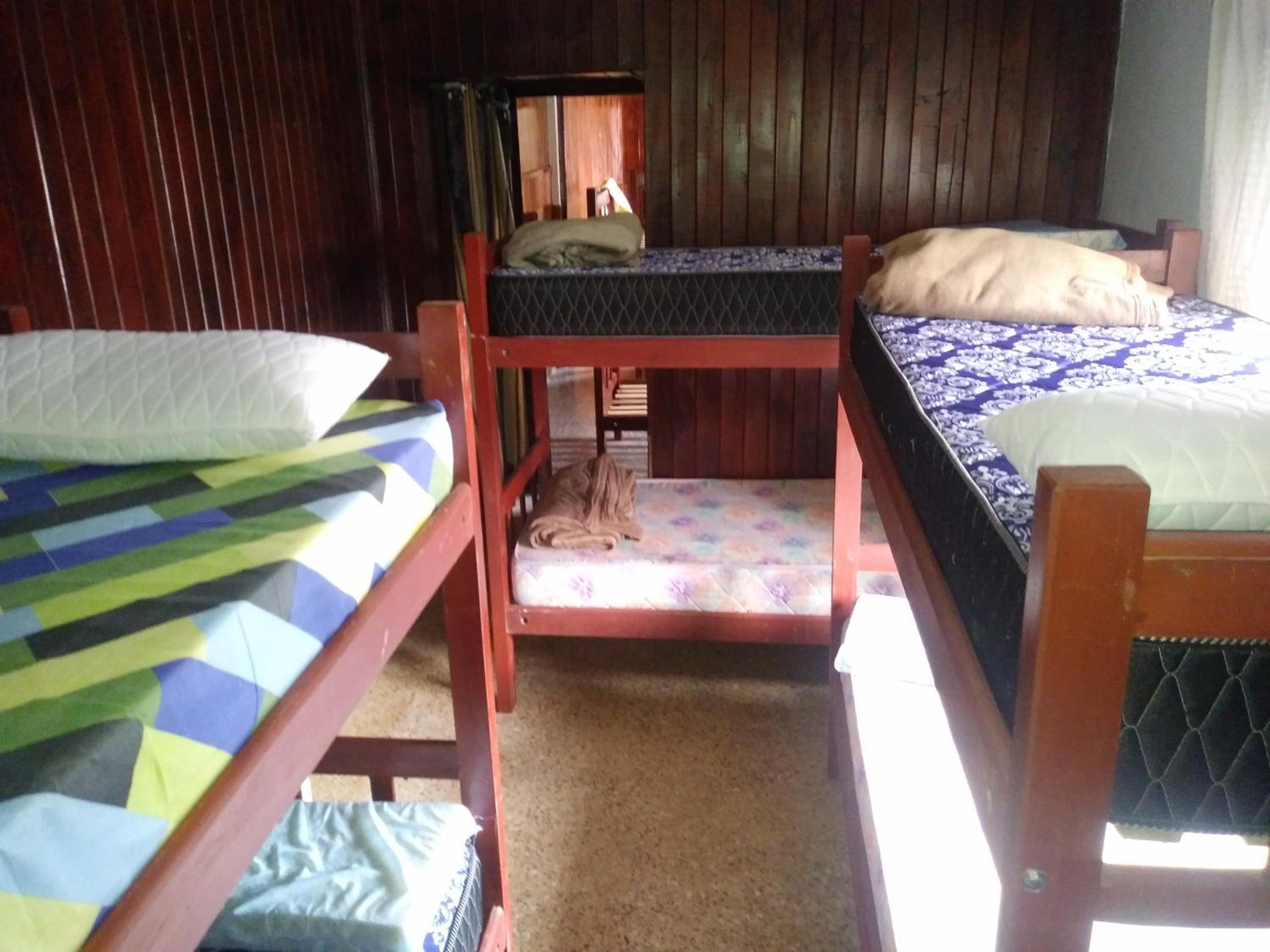Bed In 6-Bed Mixed Dormitory Room photo 1
