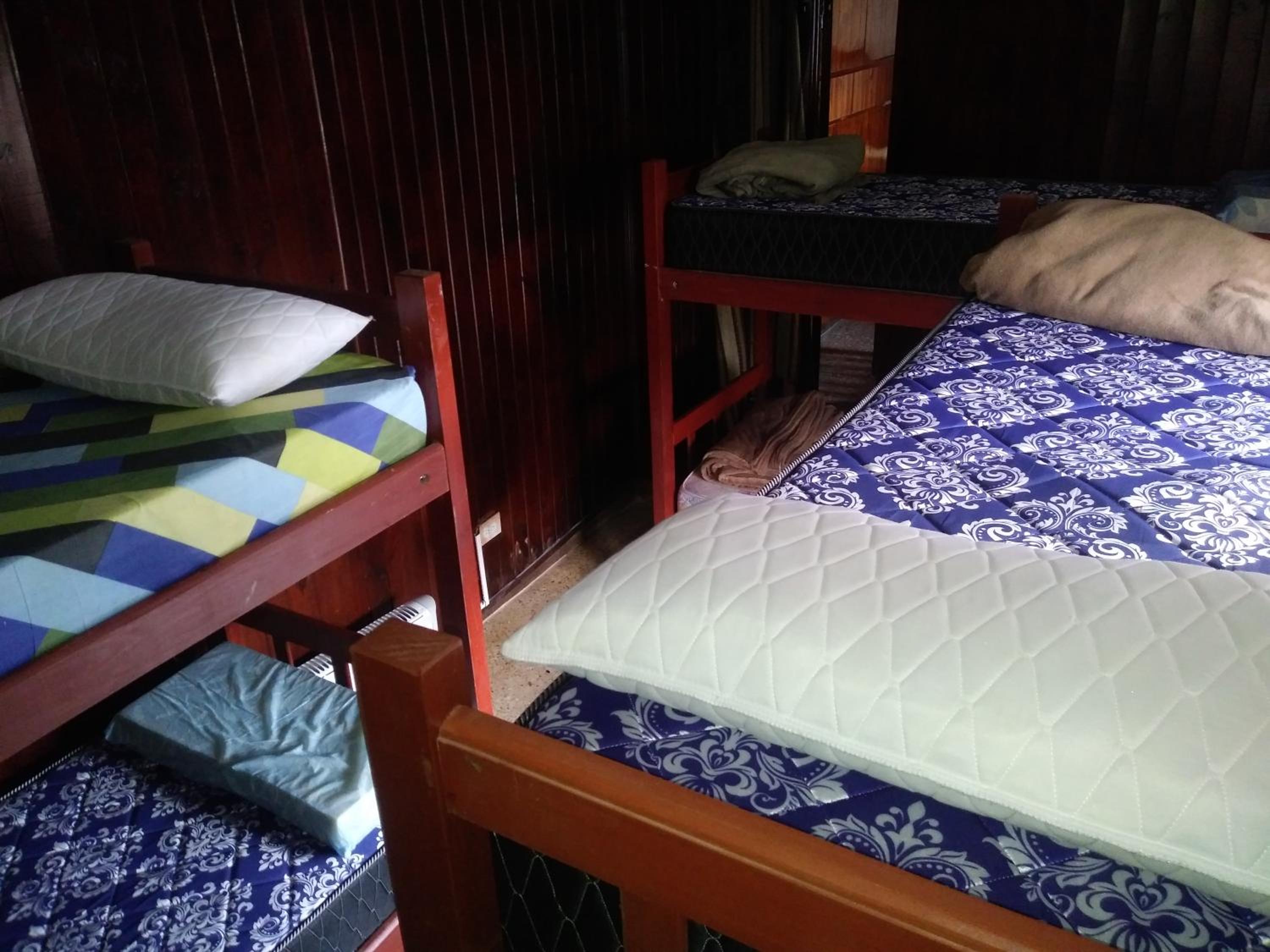 Bed In 6-Bed Mixed Dormitory Room photo 3