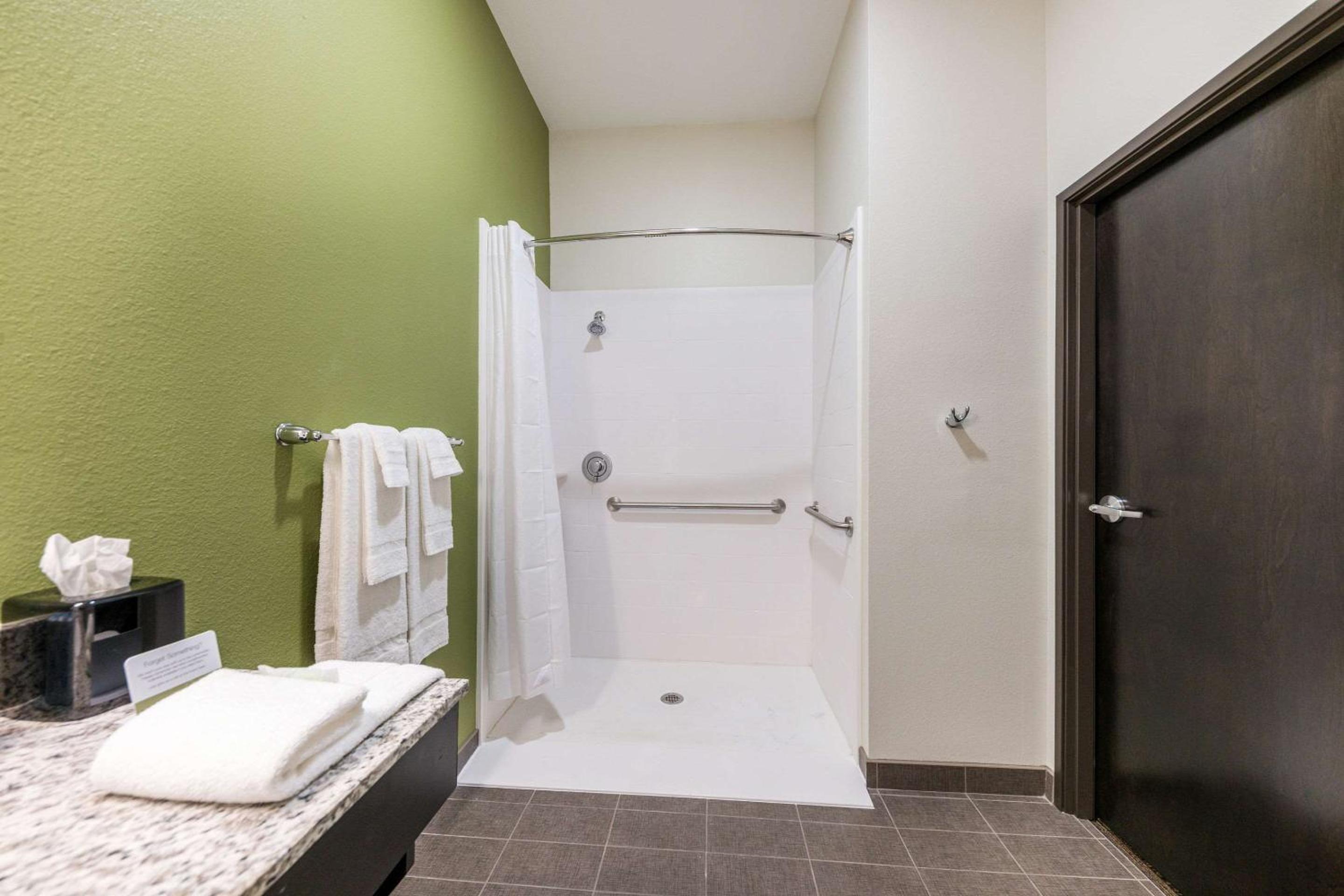 King Room - Mobility Accessible/Non-Smoking - Photo 6