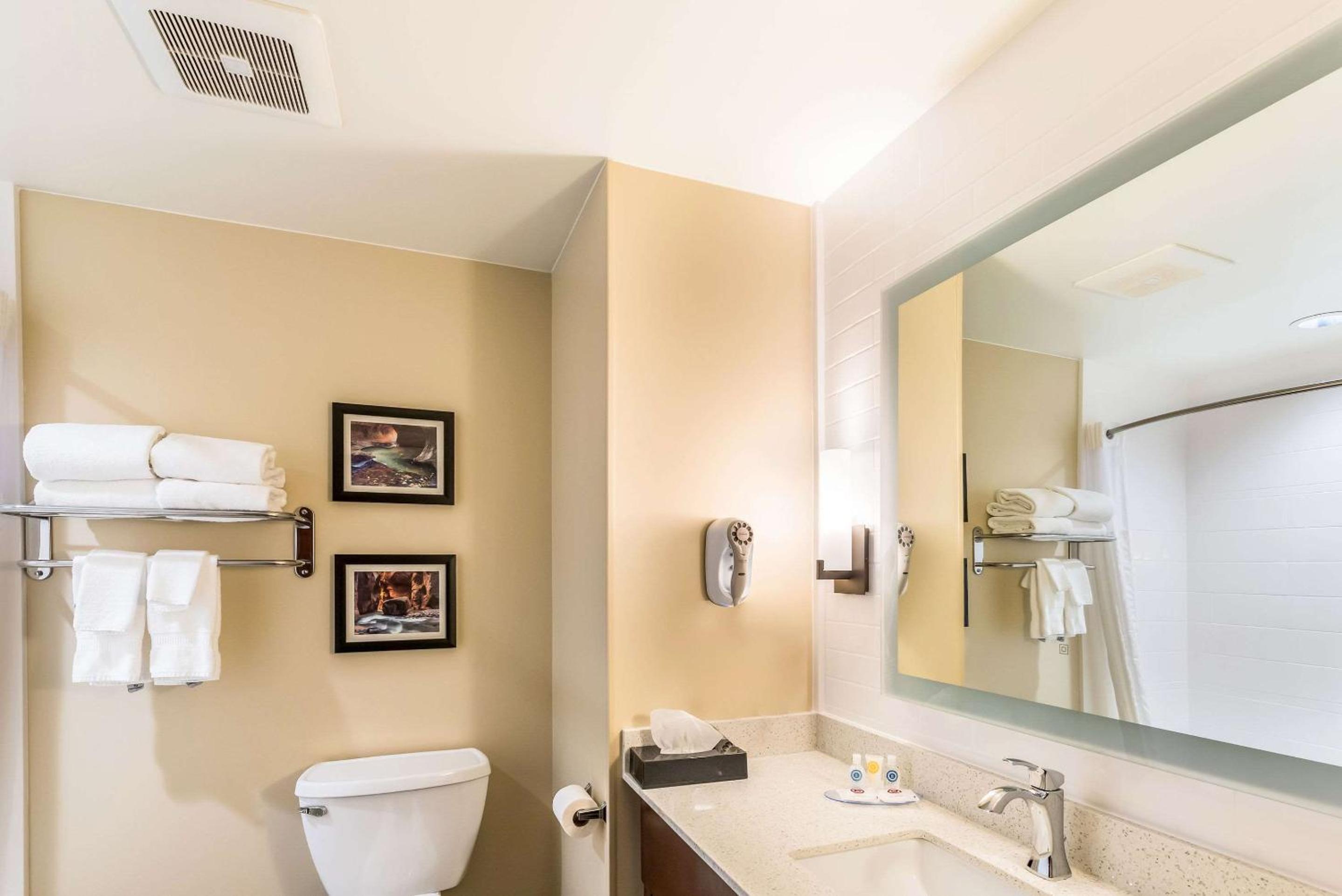 King Suite - Non-Smoking - Photo 5