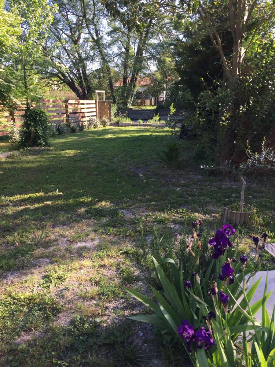 Apartment with Garden View photo 3