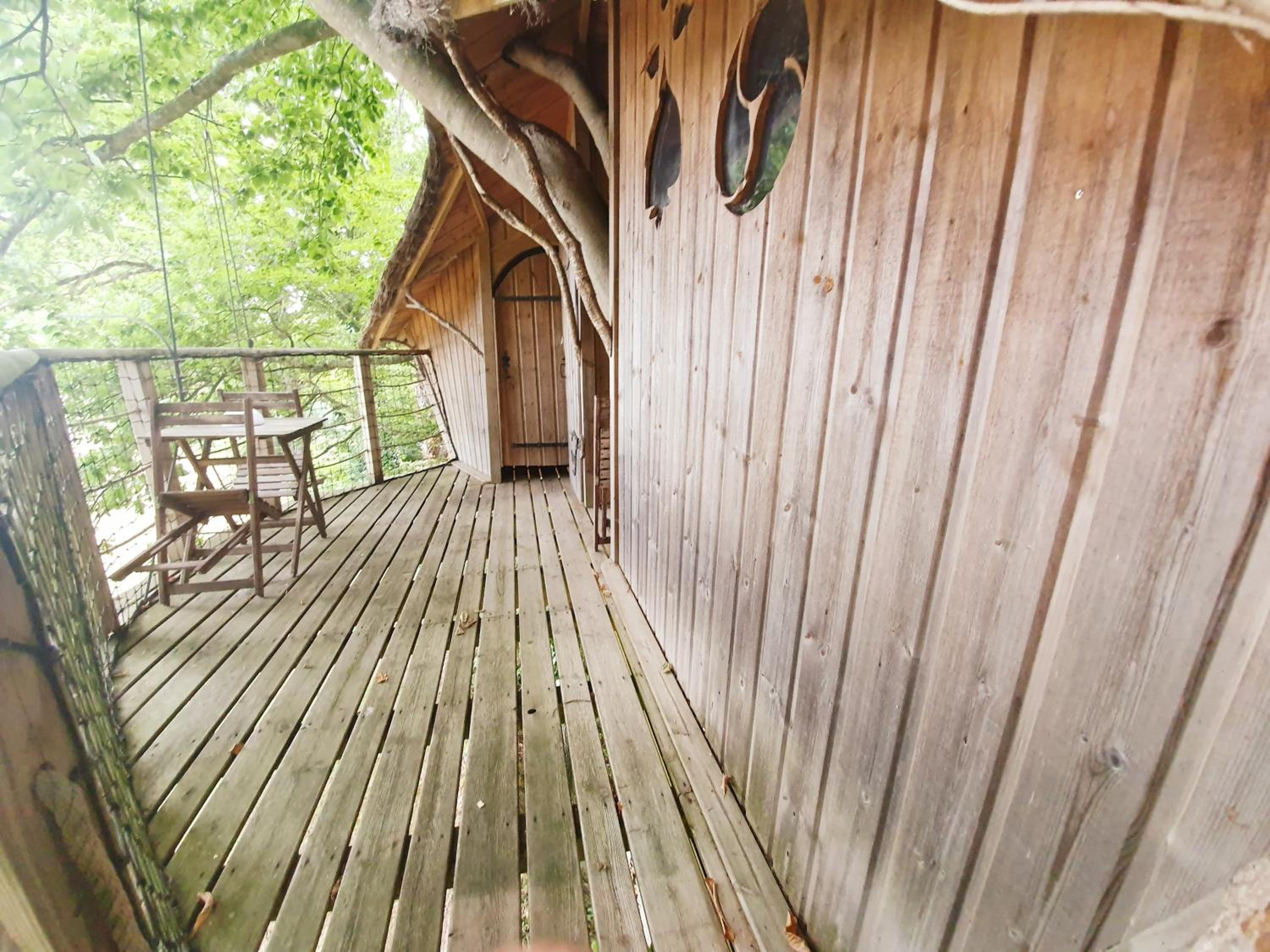 Triple Tree House photo 3