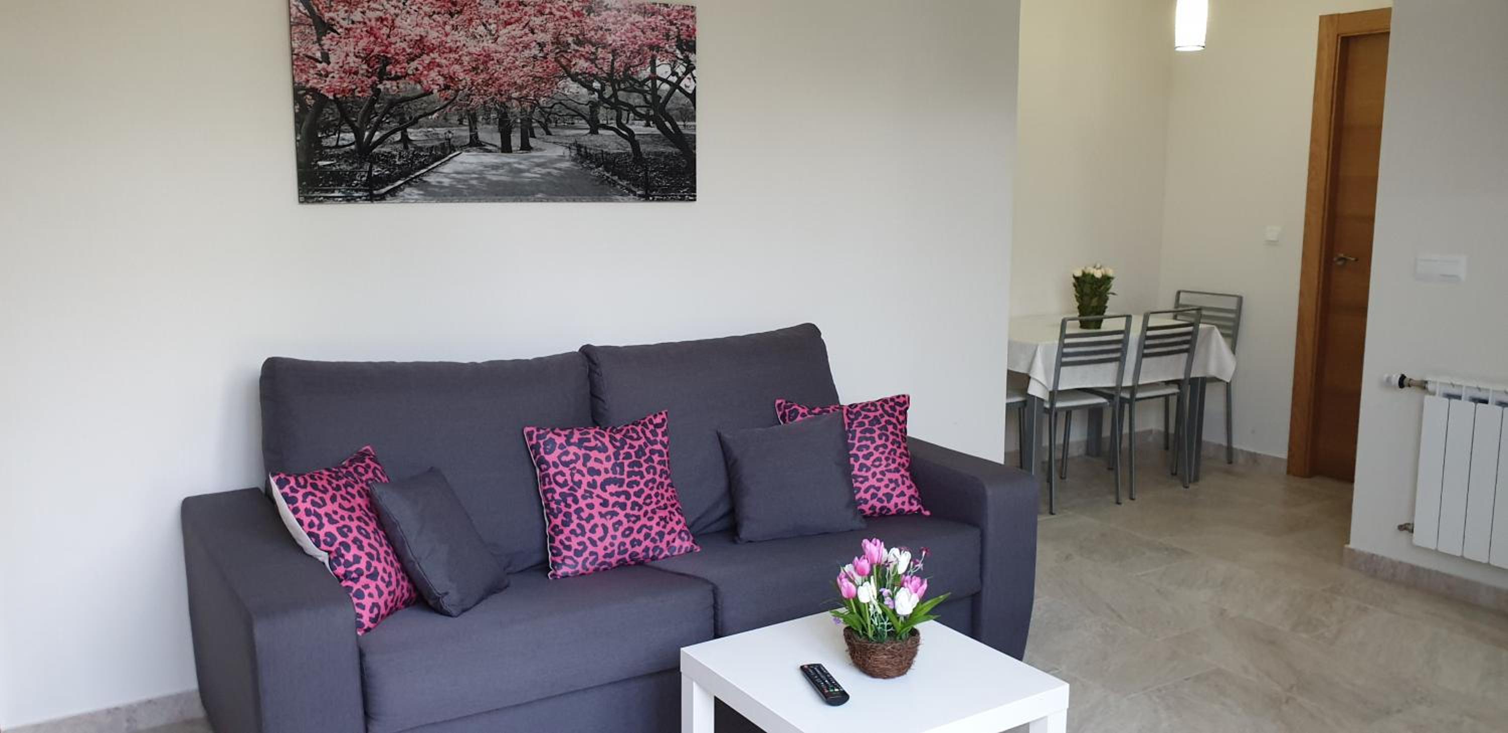 Apartamento de una habitación