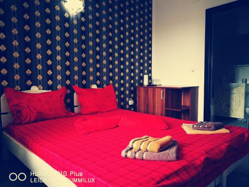 Queen Room with Spa Bath photo 1