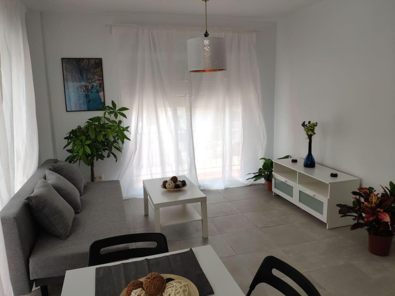 One-Bedroom Apartment photo 3