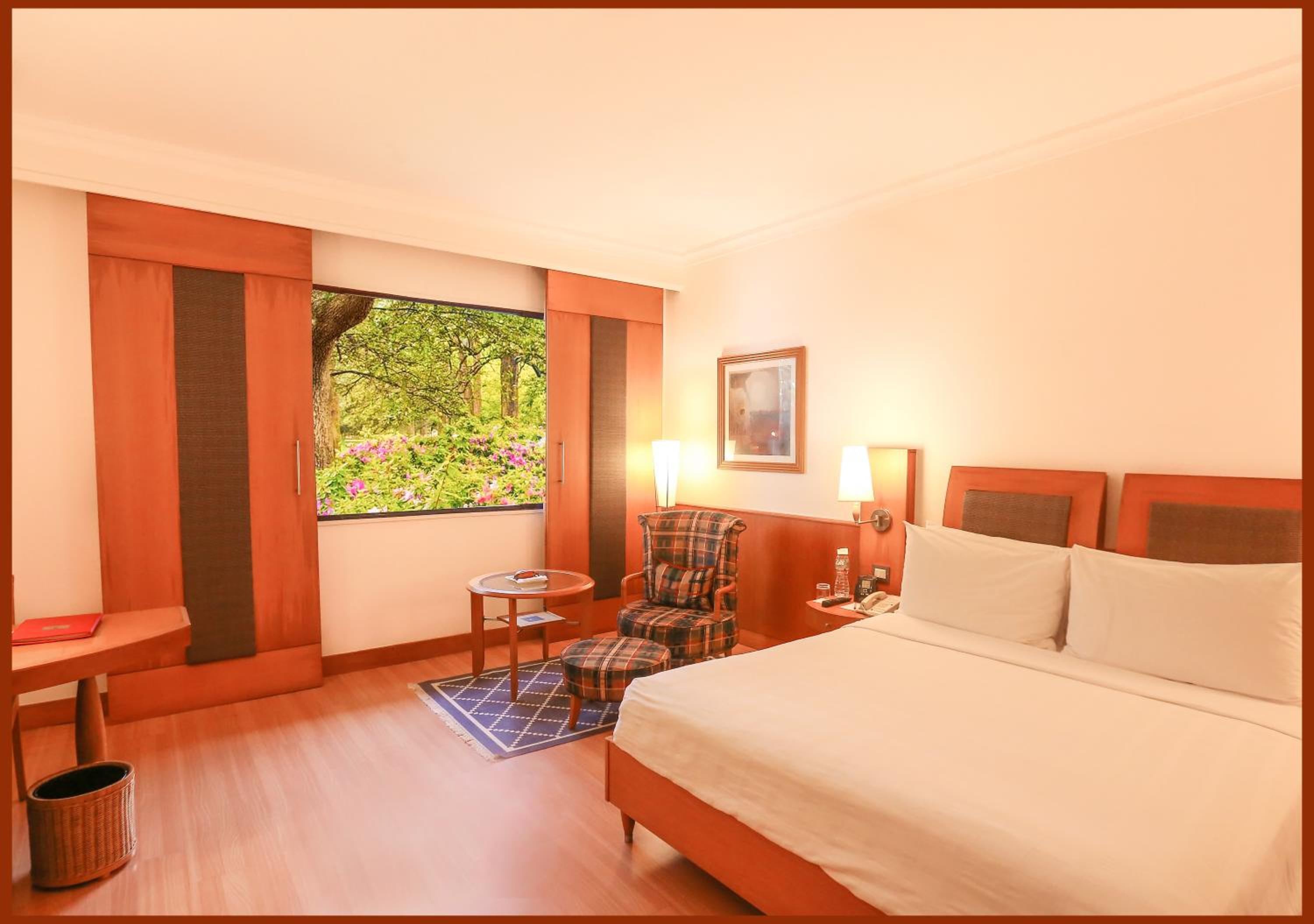 Premier Room - Photo 2