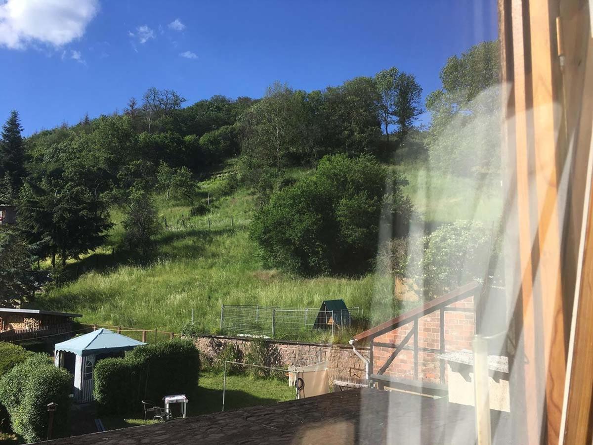 Apartment With Garden View photo 3