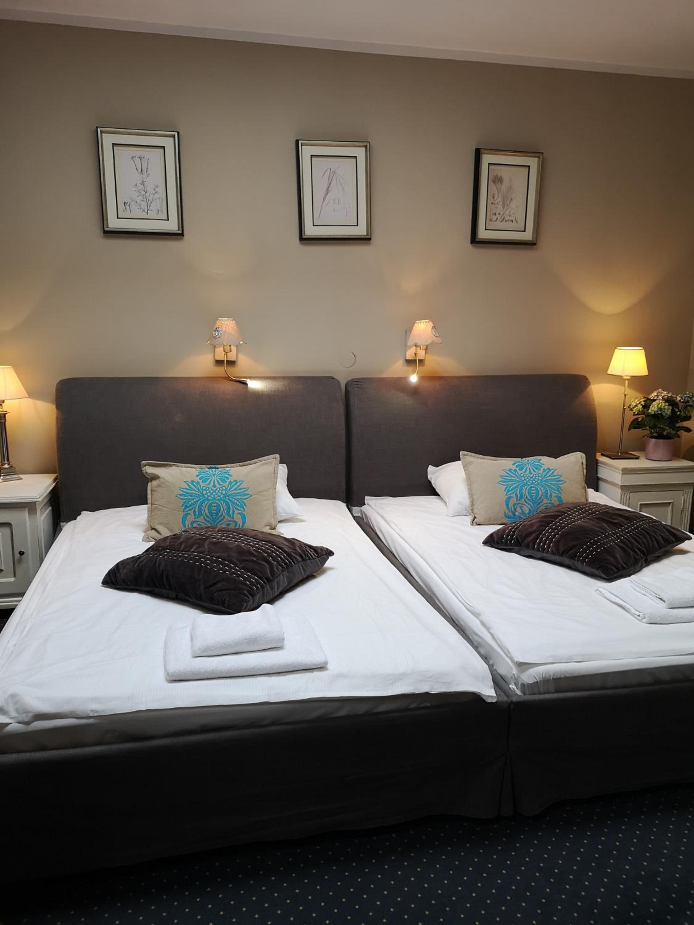 Standard Suite