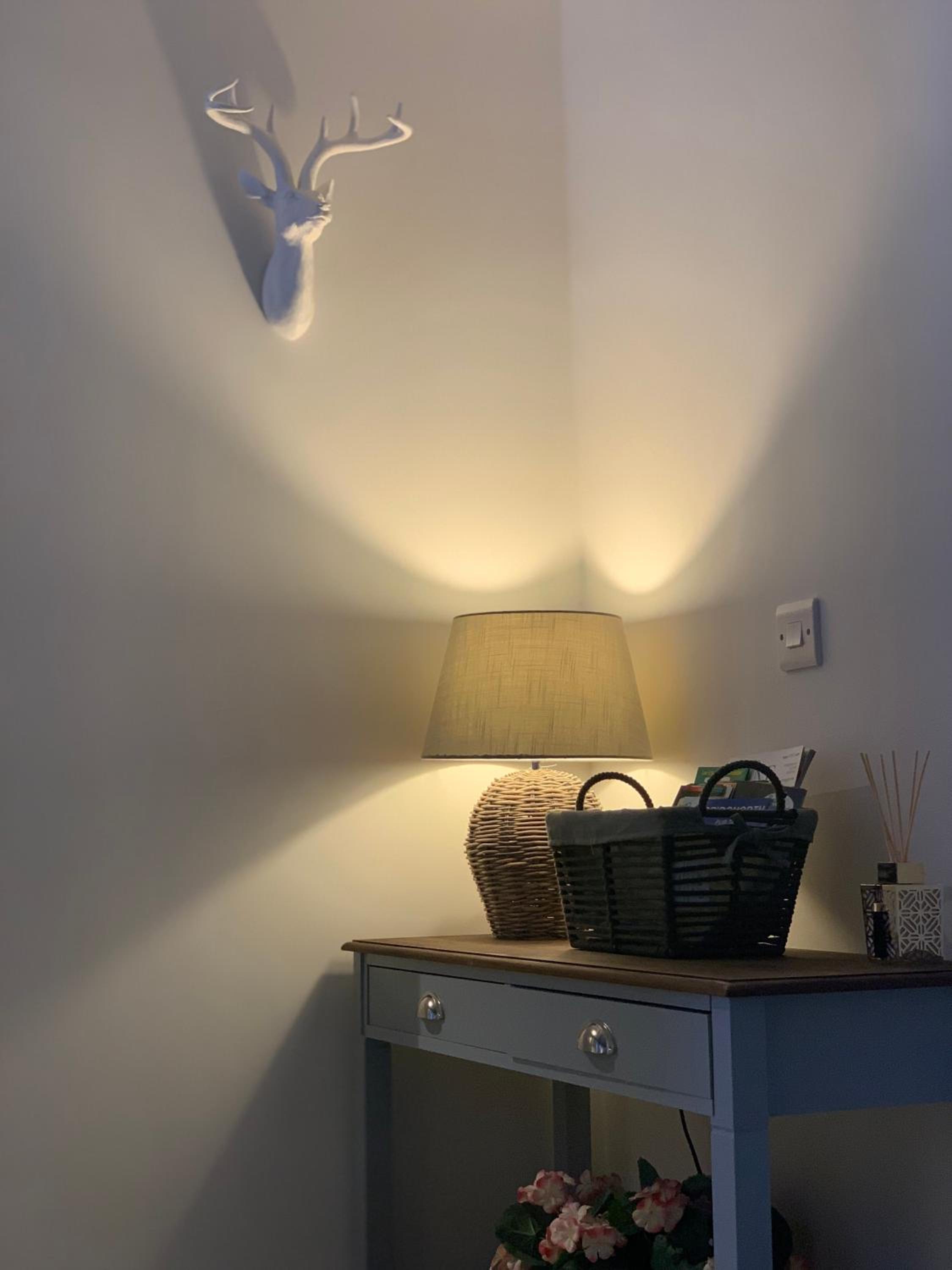 Superior Apartment photo 3
