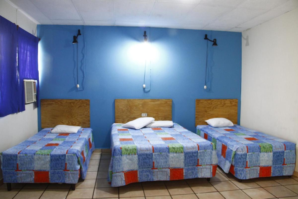 Triple Room photo 1