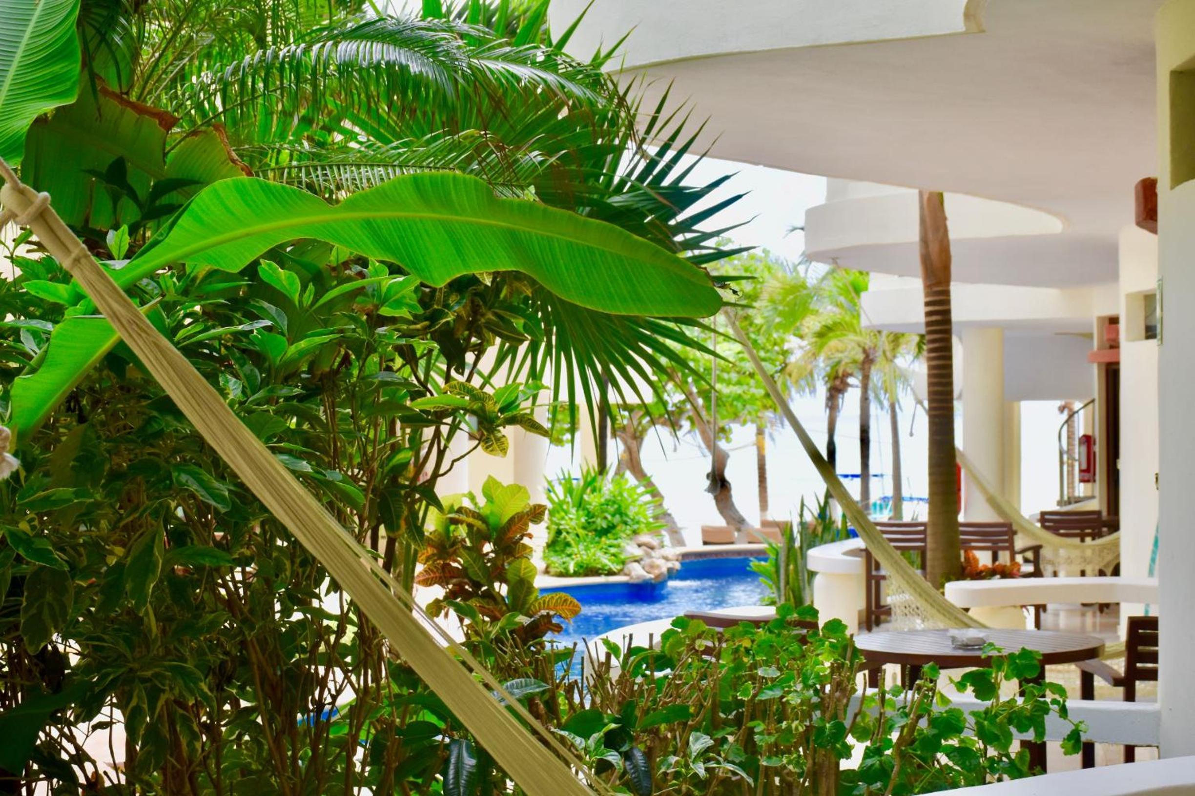Studio with Garden View - Photo 6