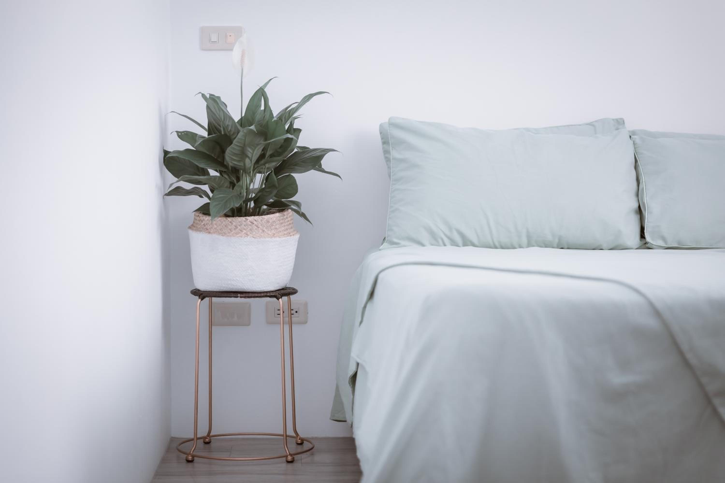 Deluxe Queen Room photo 1