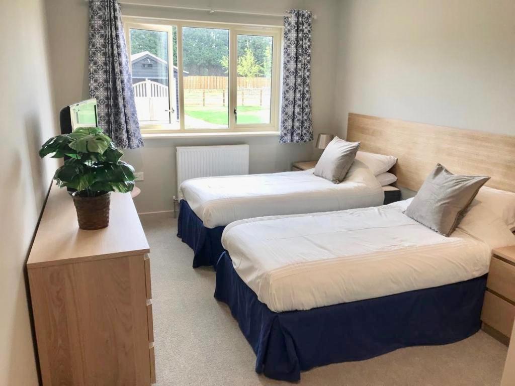 Two-Bedroom Chalet photo 3