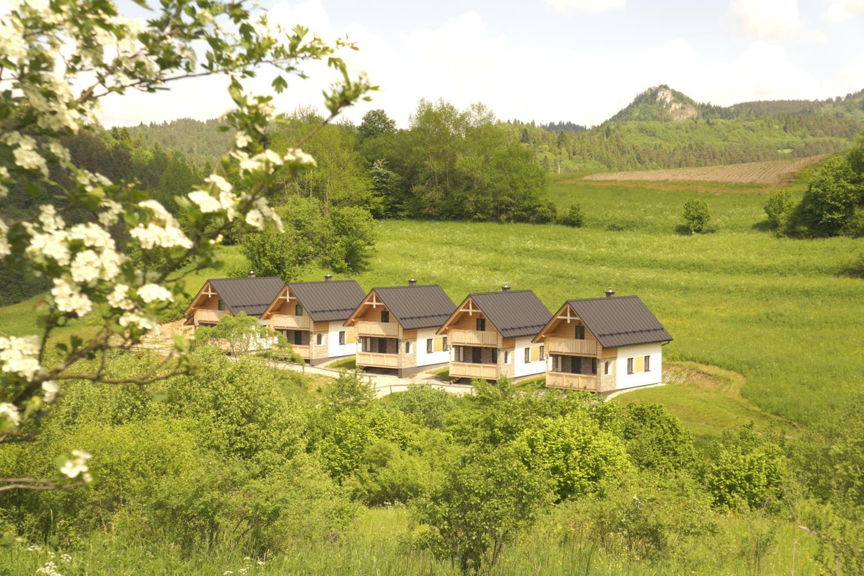 Suite with Mountain View - Photo 4