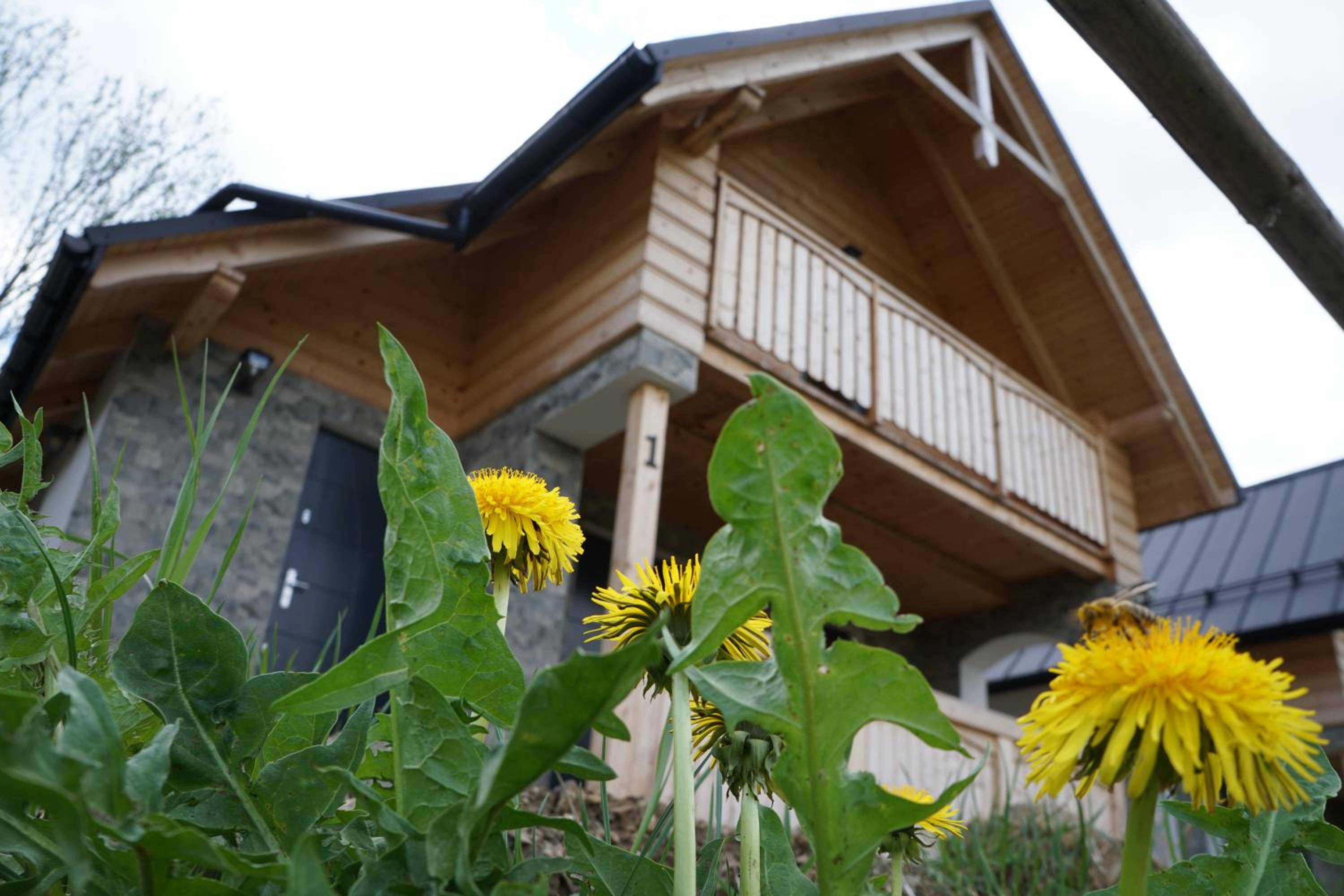 Suite with Mountain View - Photo 9