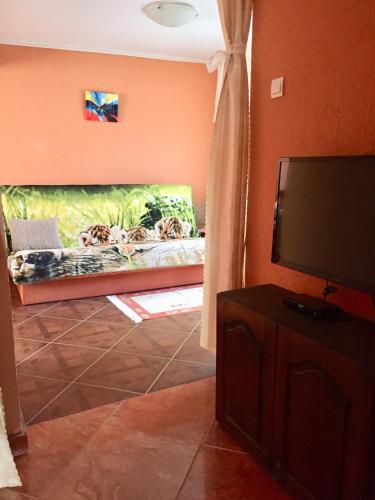 Holiday Home photo 3