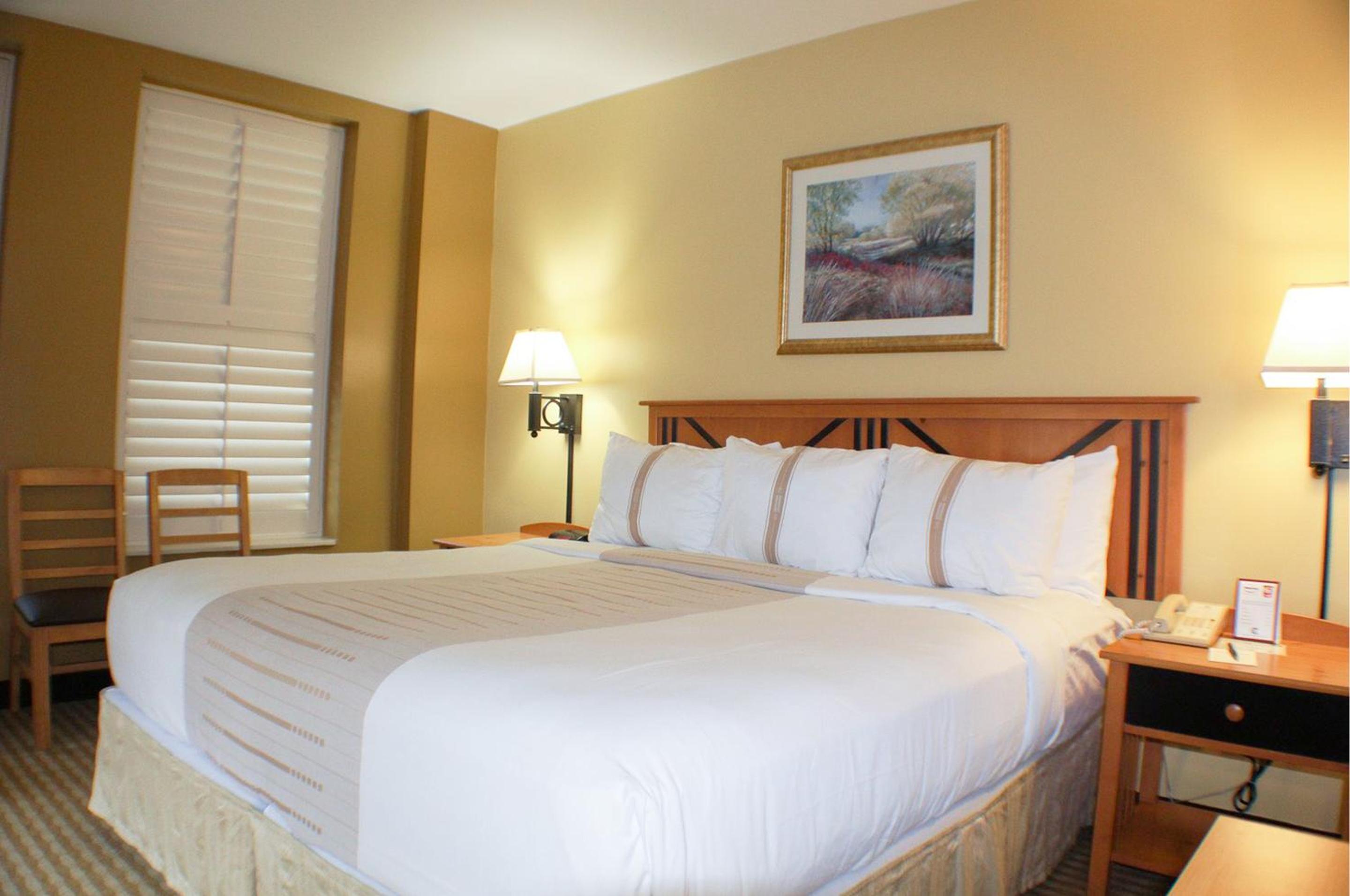 Deluxe King Room - Photo 6