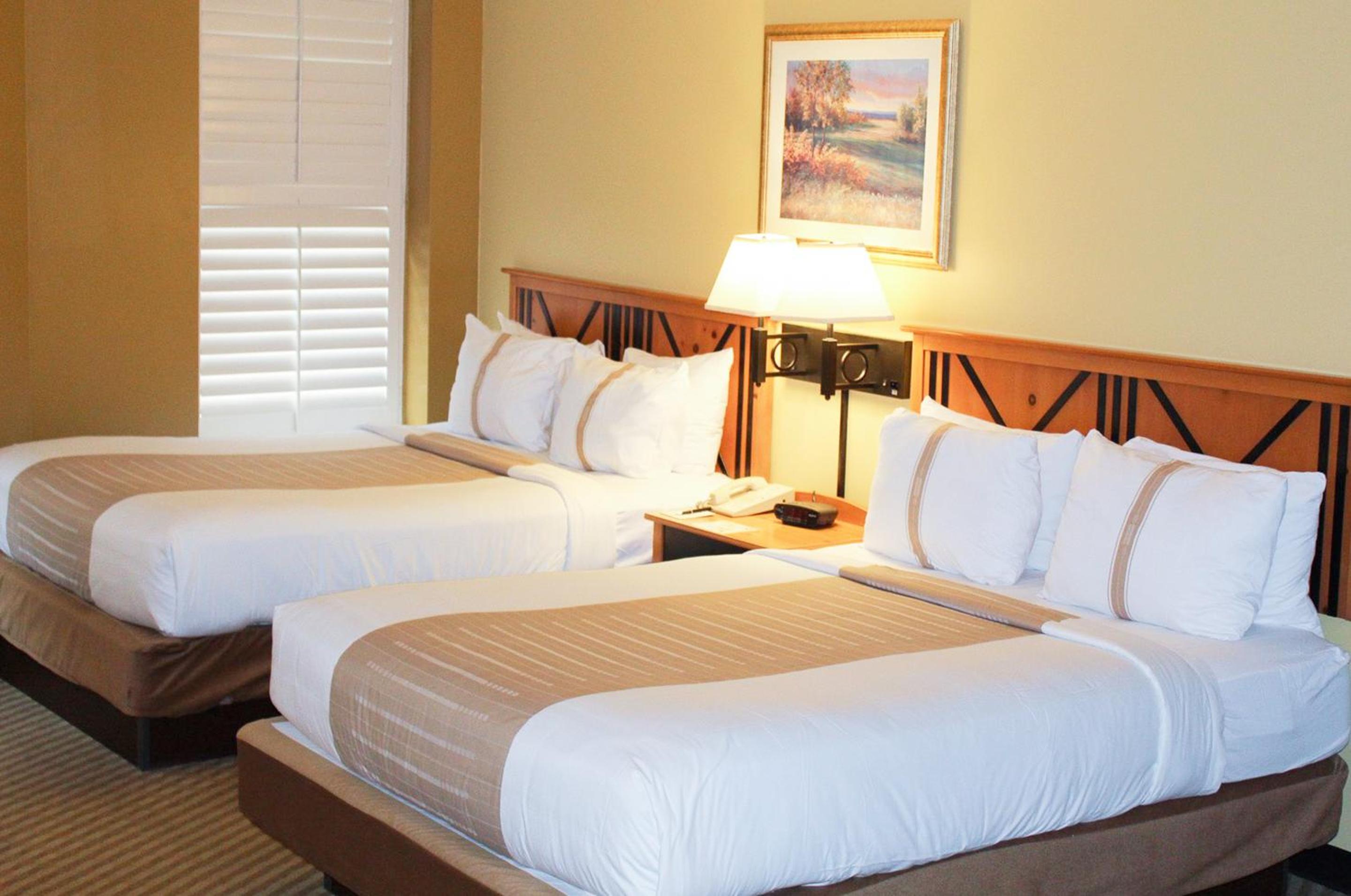 Standard Two Double Bed - Photo 1